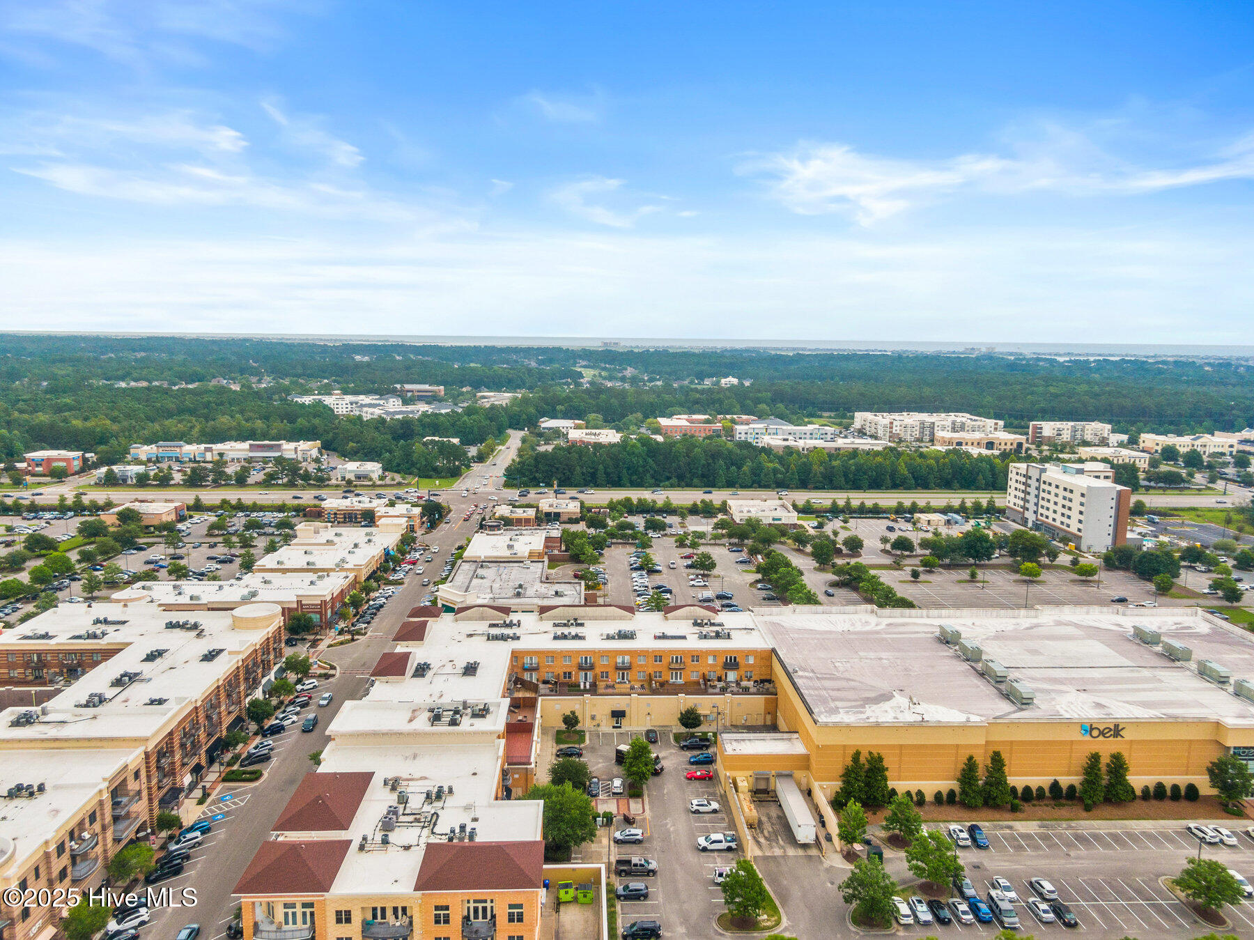 100518149 | Photo 42