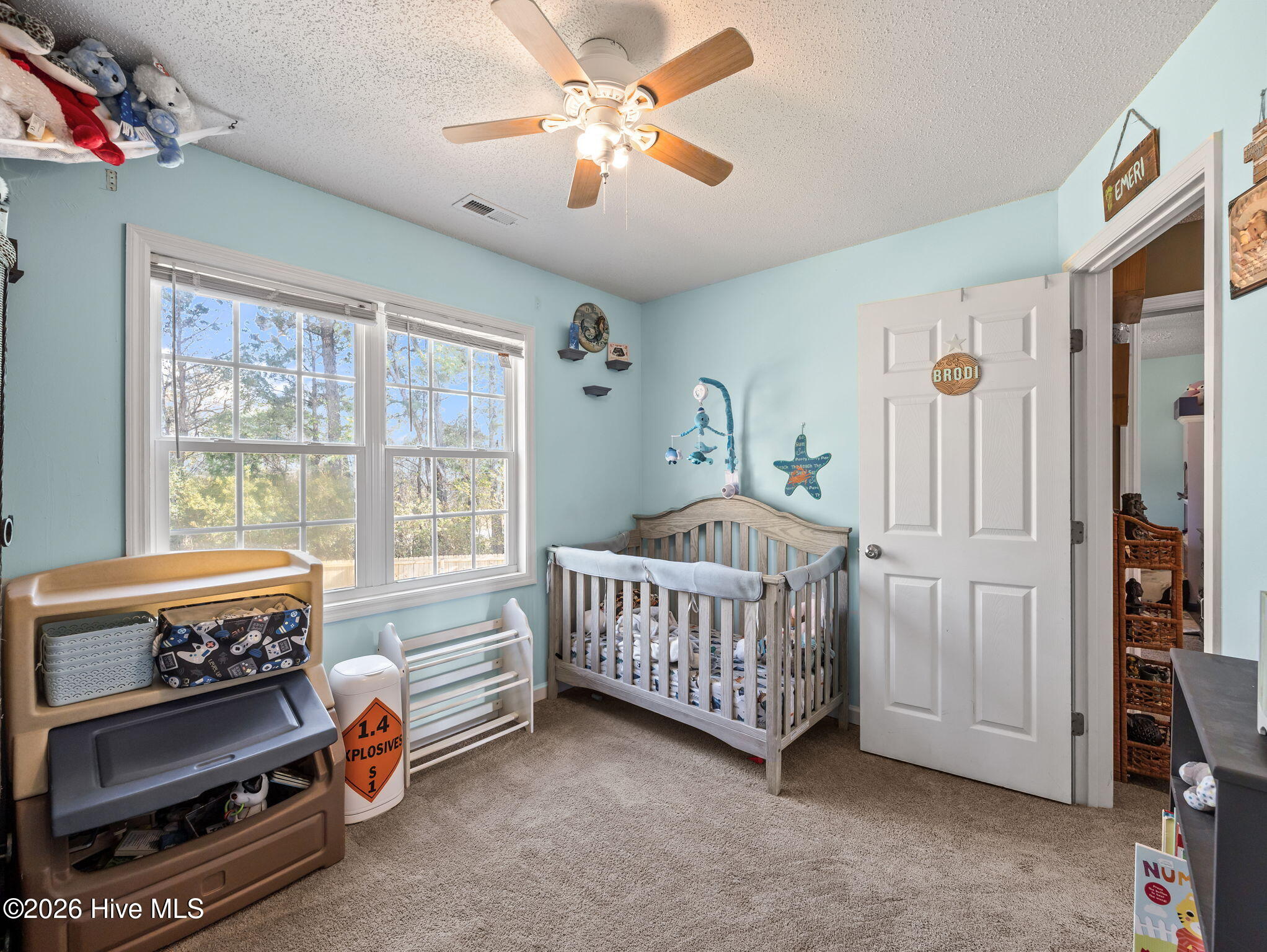 100568127 | Photo 29