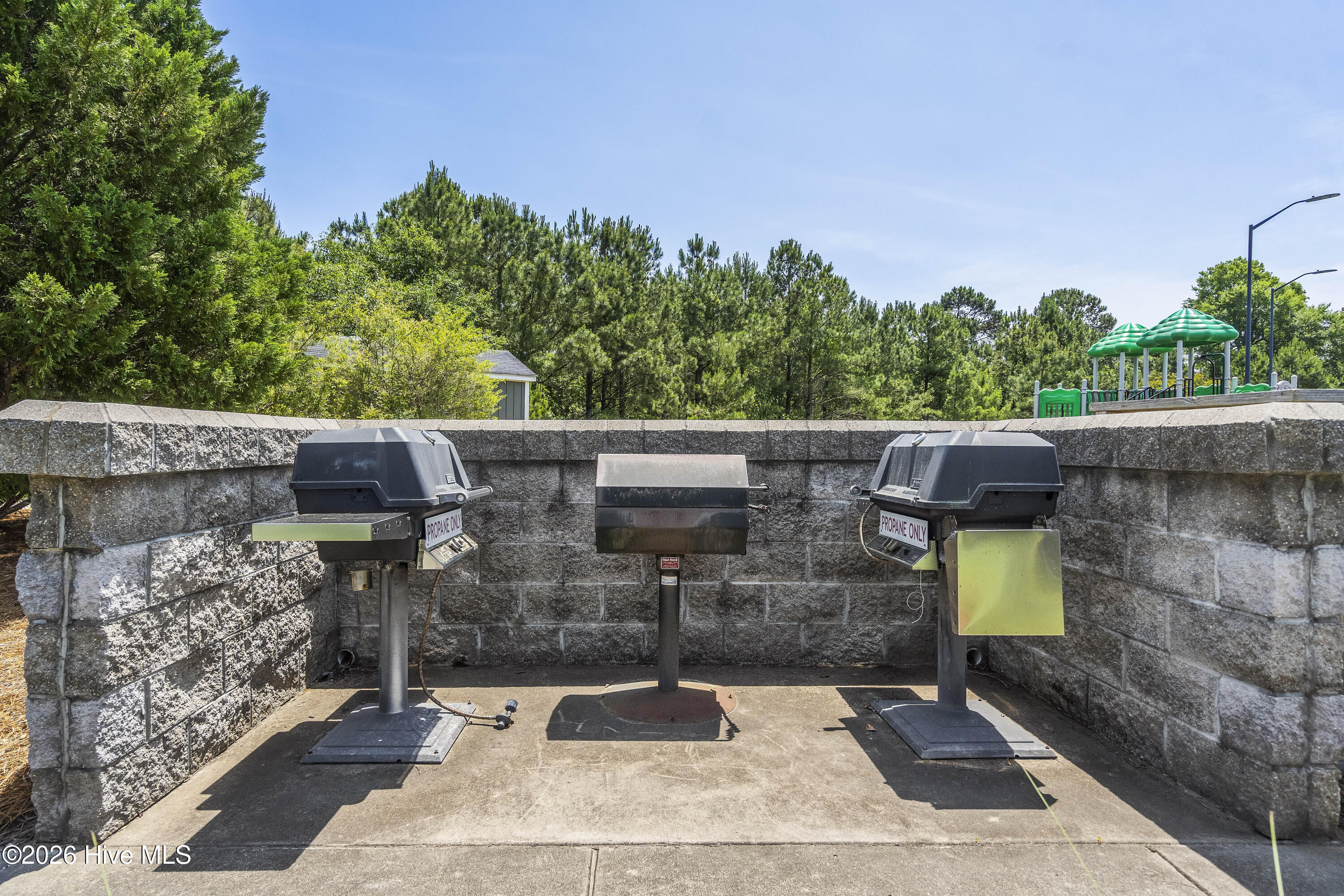 100562110 | Photo 119