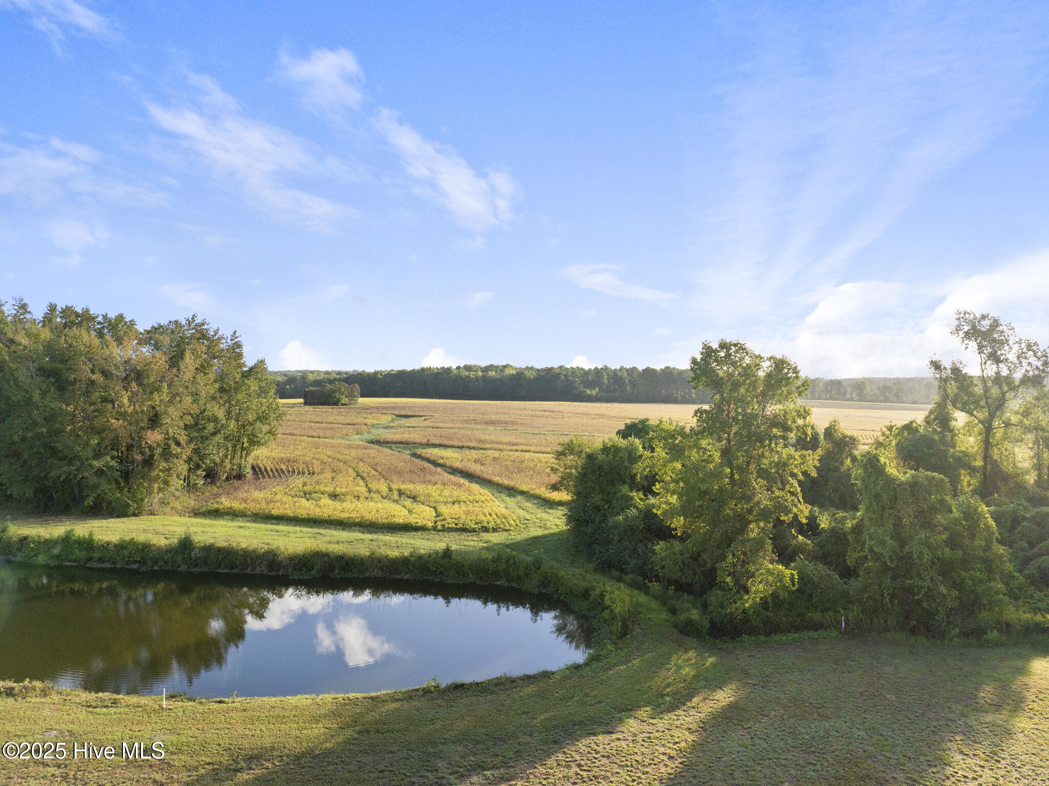 Homes for sale in Spring Hope, NC | 5575 River Buck Rd, Spring Hope, NC 27882 | MLS# 100542369