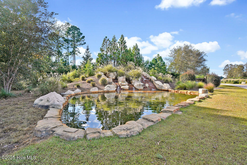 100545034 | Photo 33