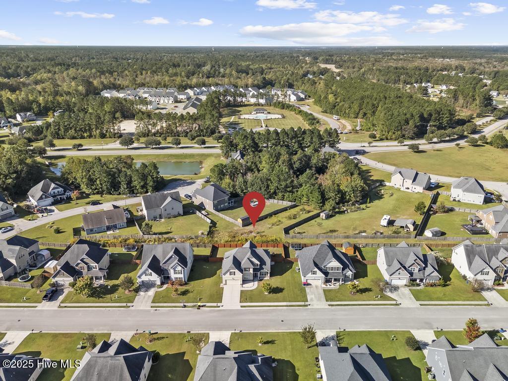 100536602 | Photo 46