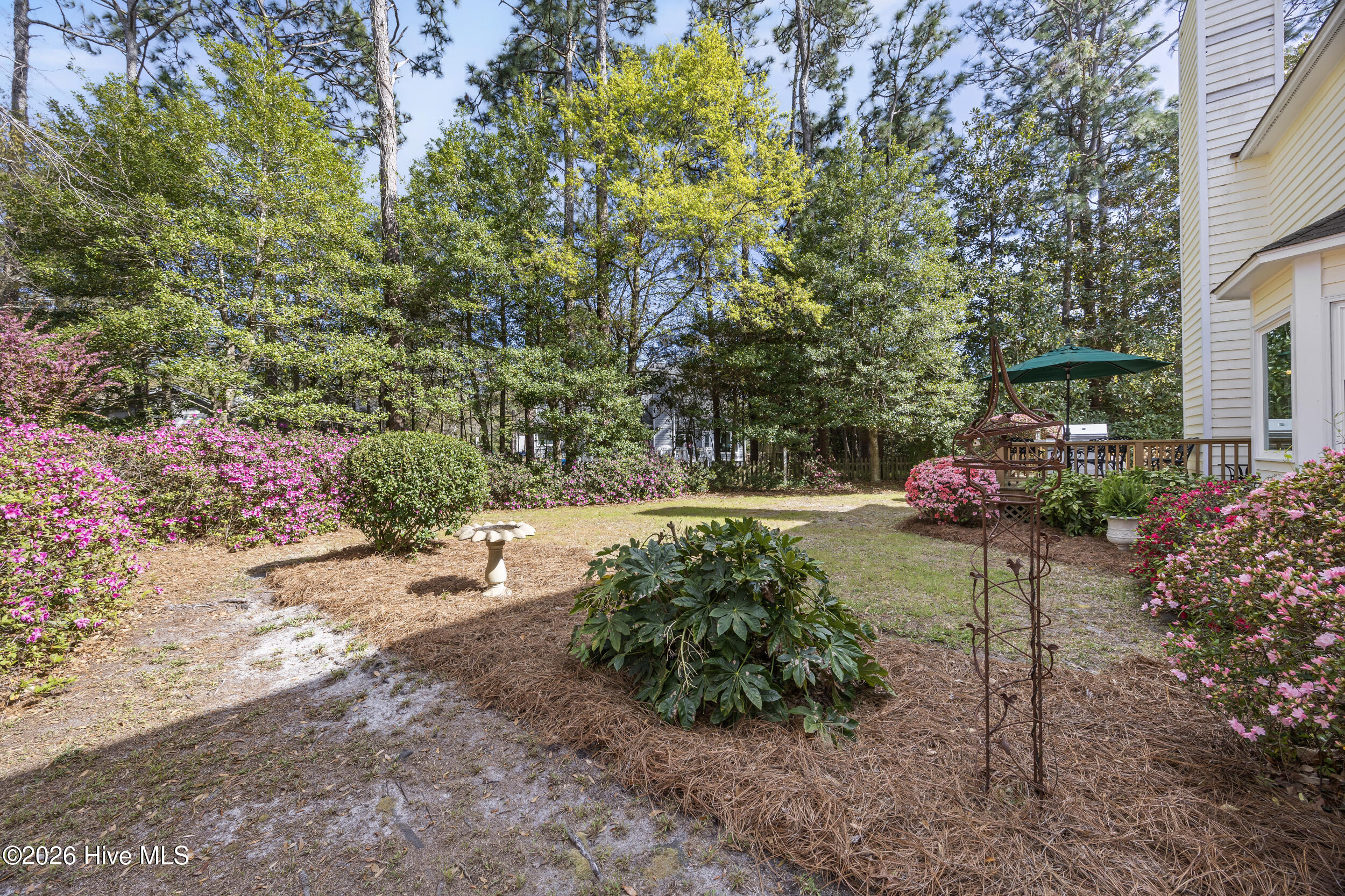 100564035 | Photo 54