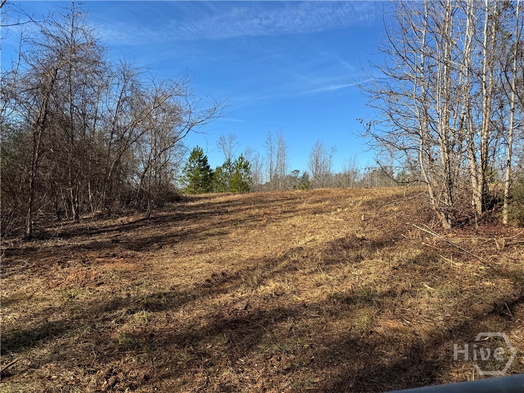 738 Old Mineral Springs Road, Elberton, GA, 30635