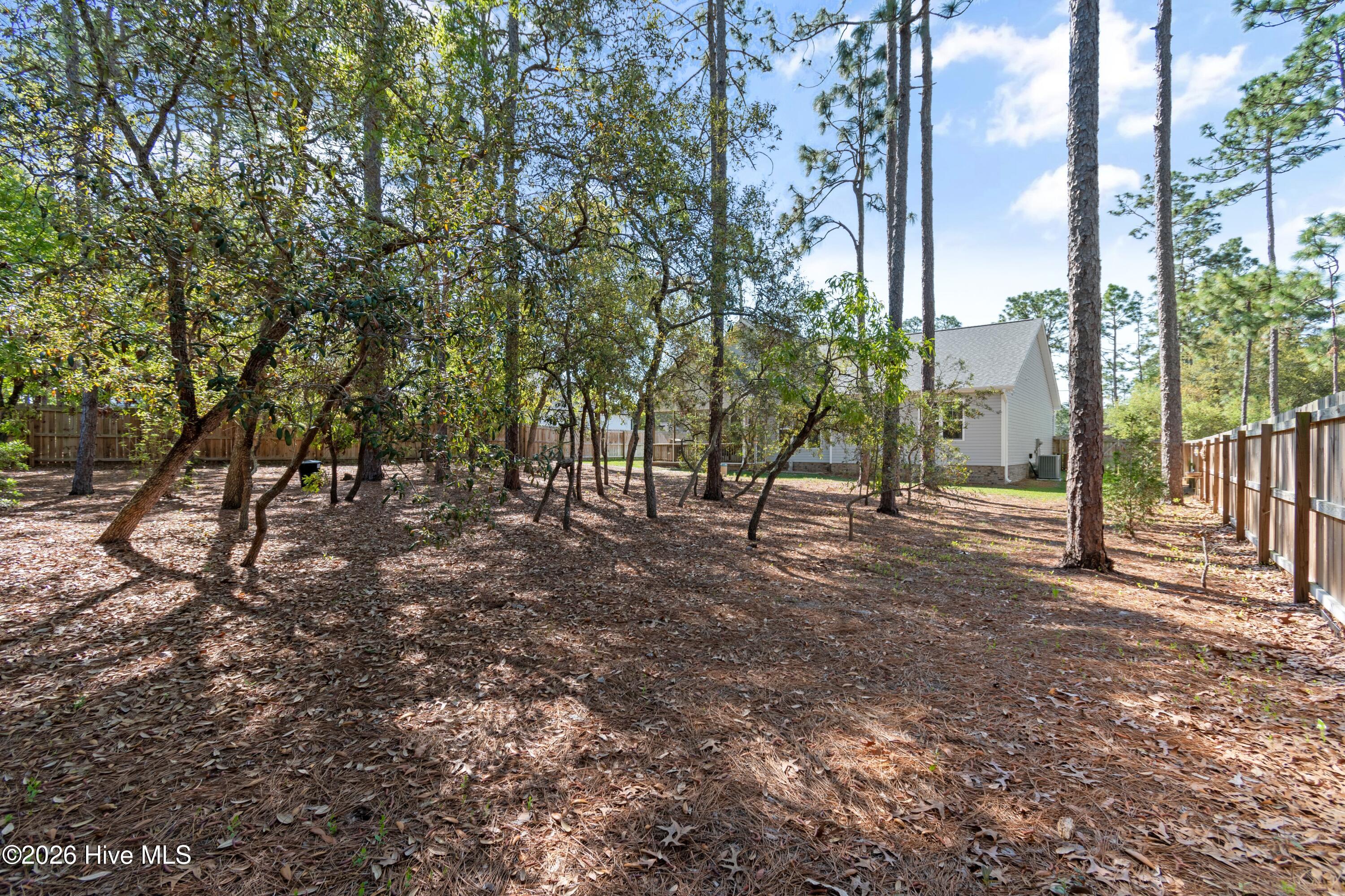 100568051 | Photo 39