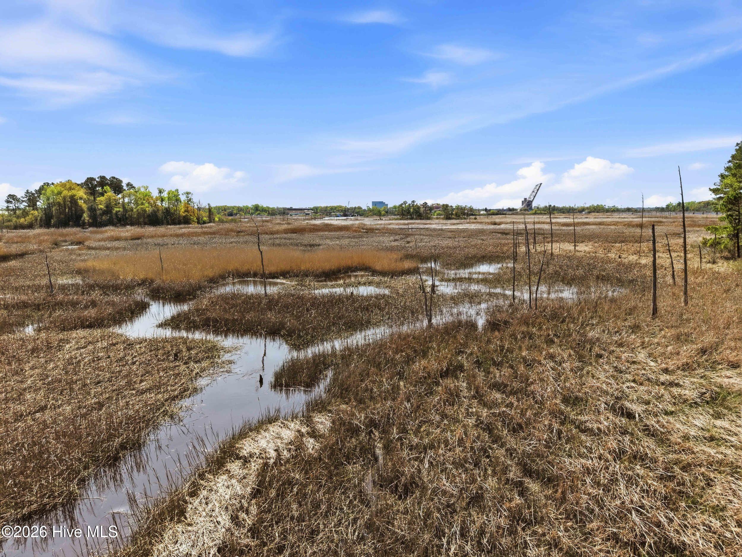 100562614 | Photo 13