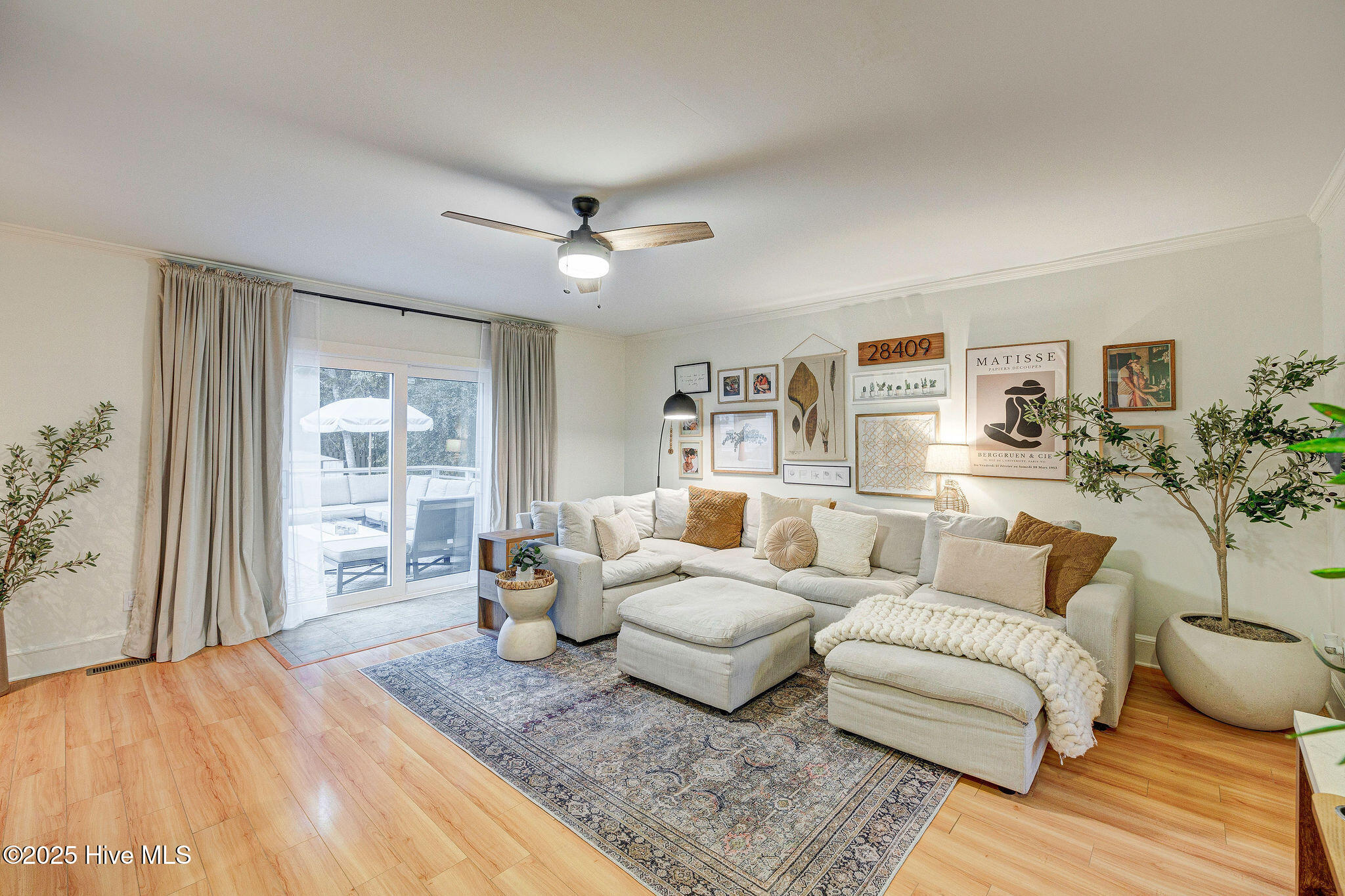 100534059 | Photo 18