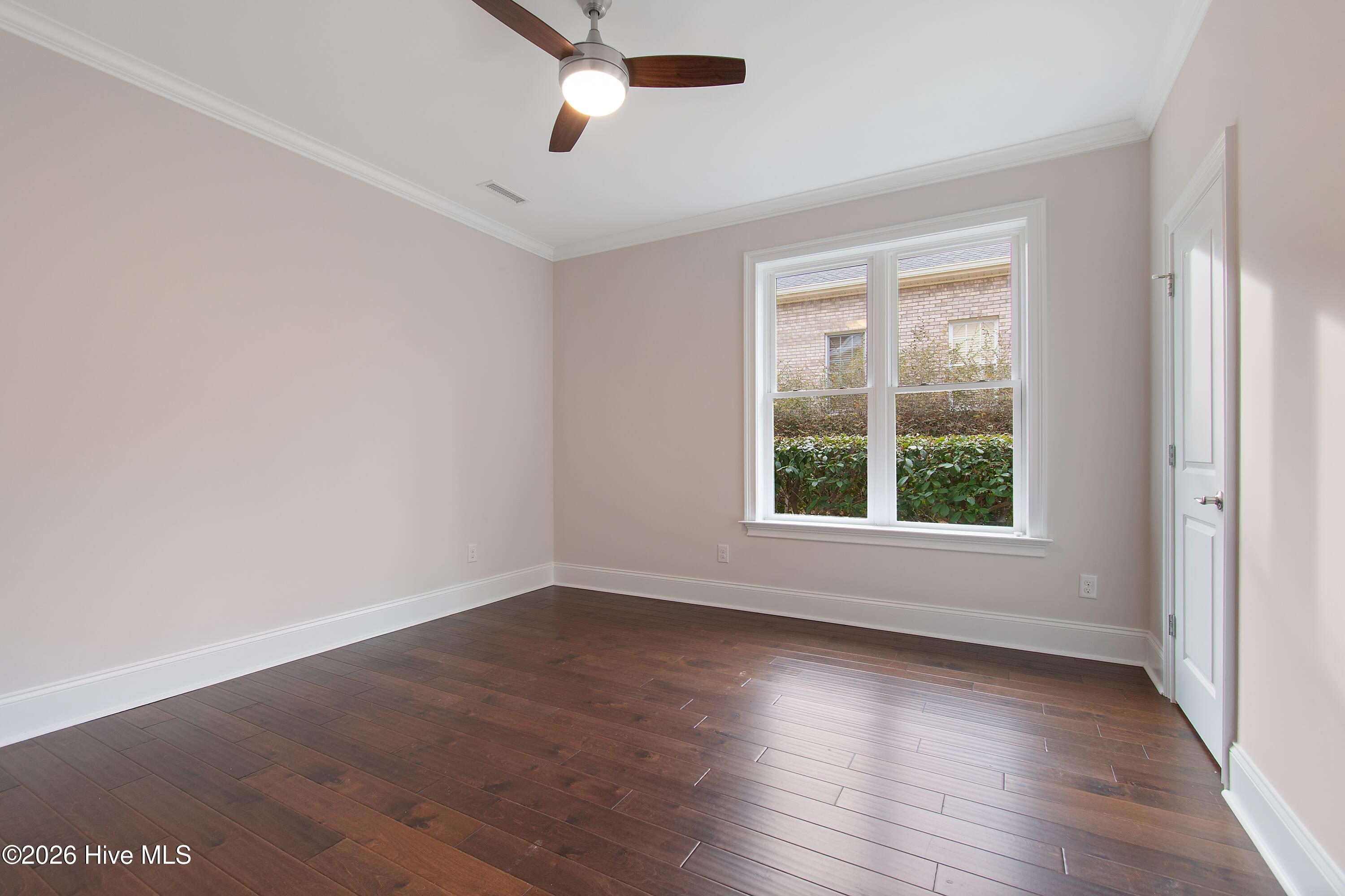 100556573 | Photo 43