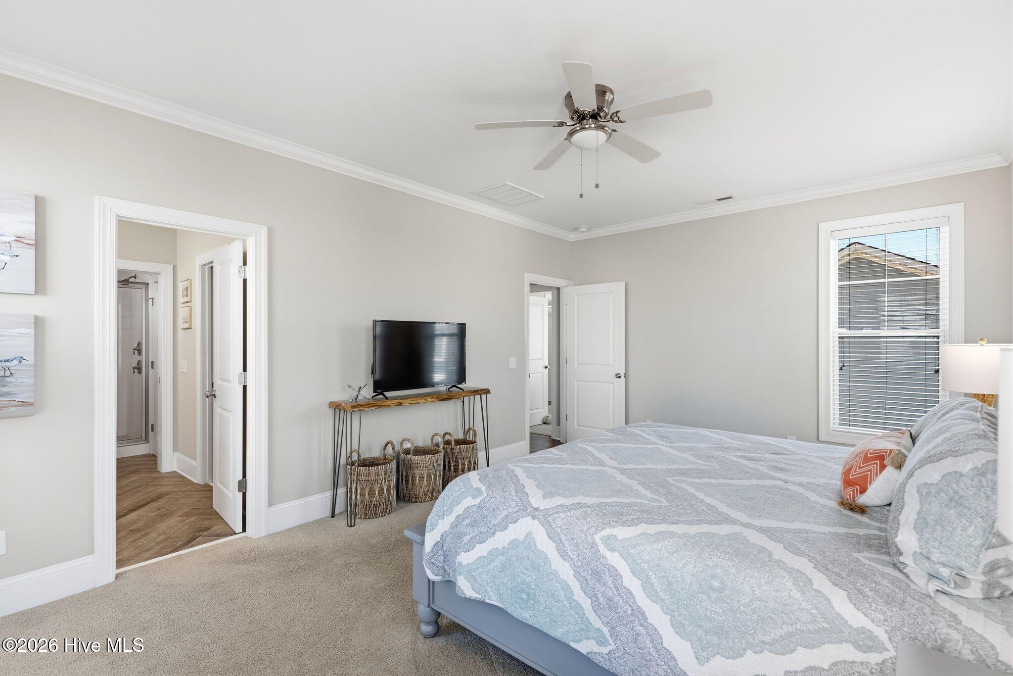 100559655 | Photo 19