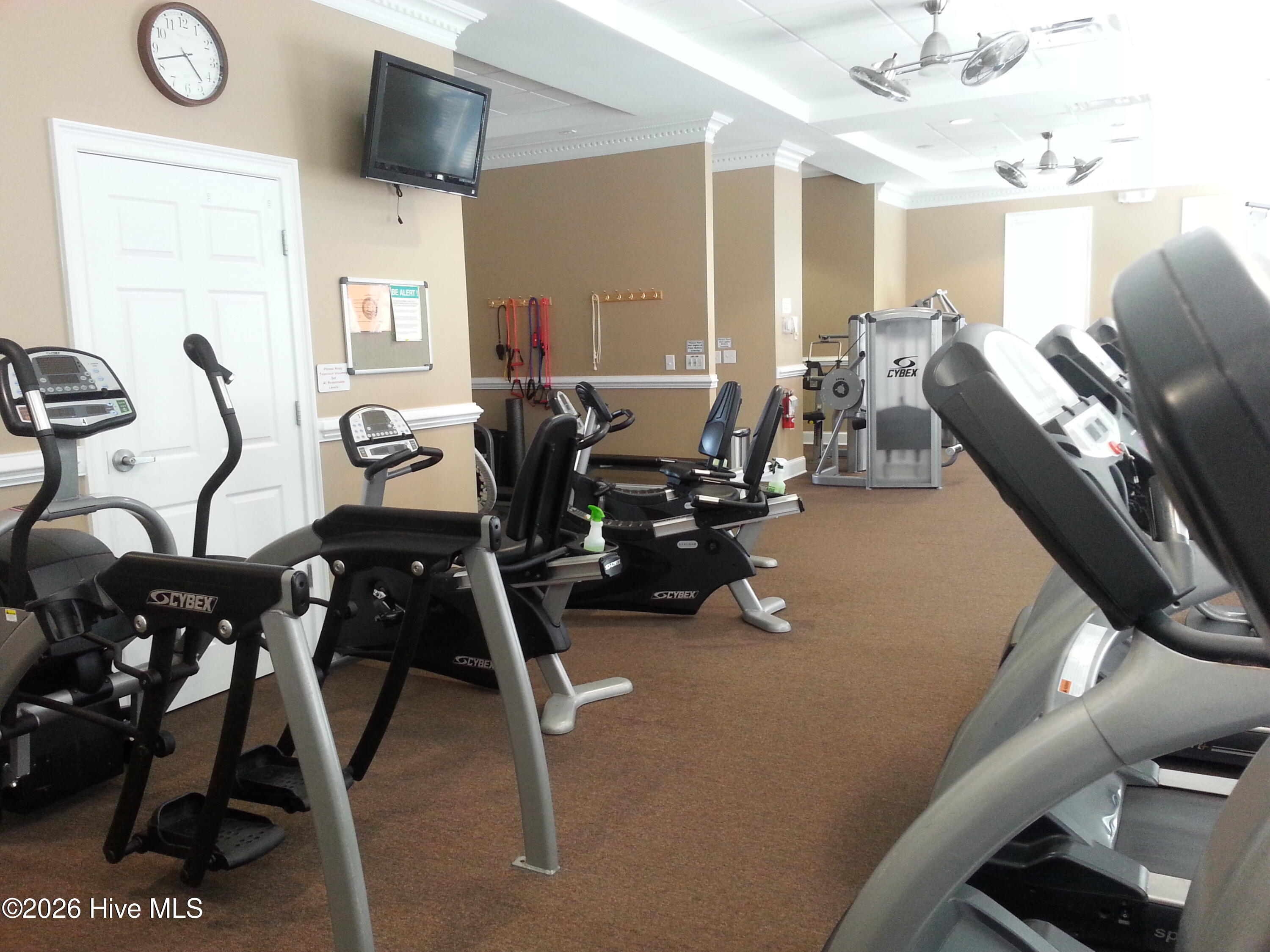 100558033 | Photo 10