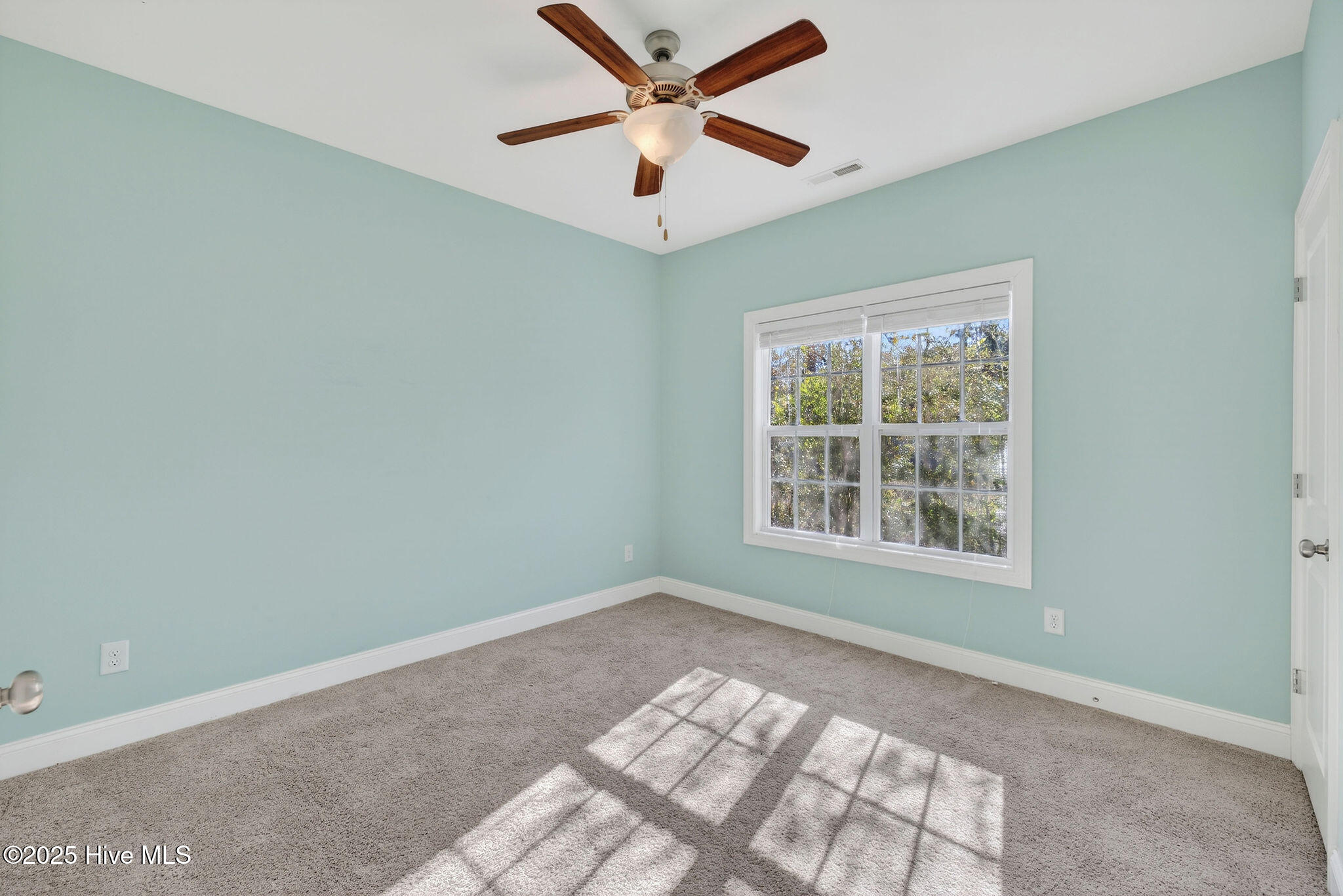 100545937 | Photo 18