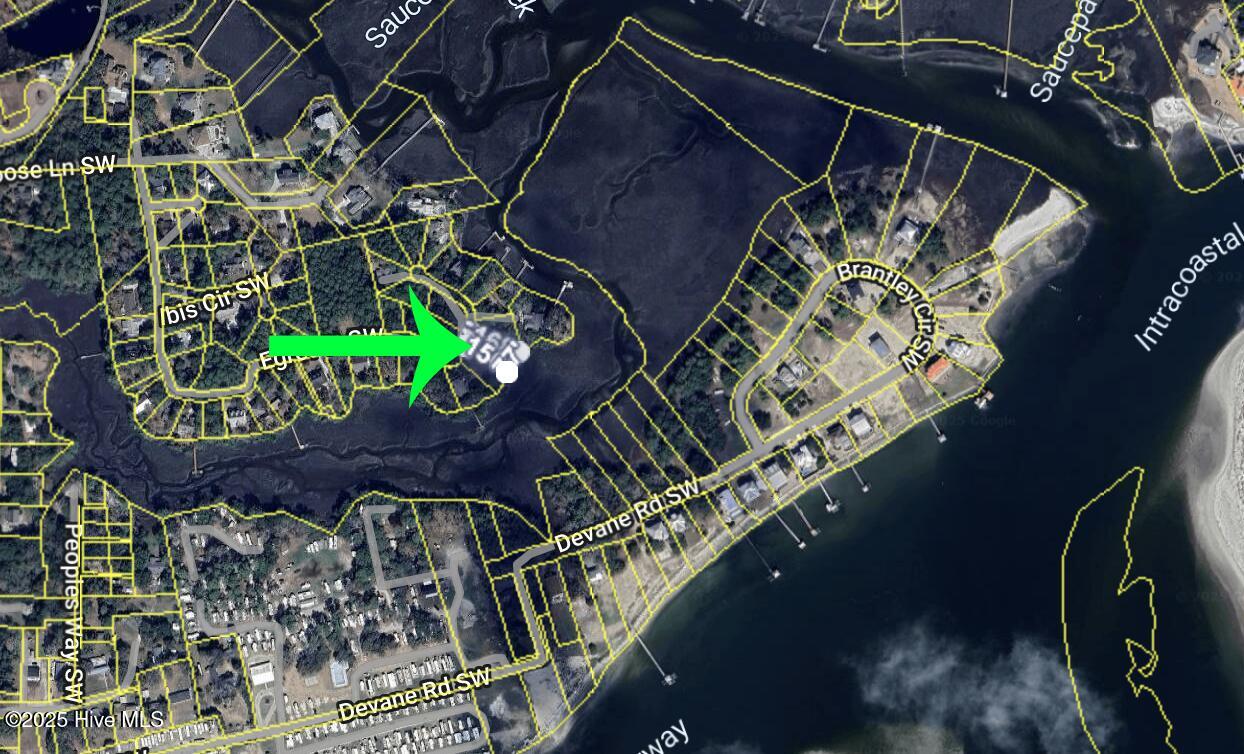 100539255 | Photo 10