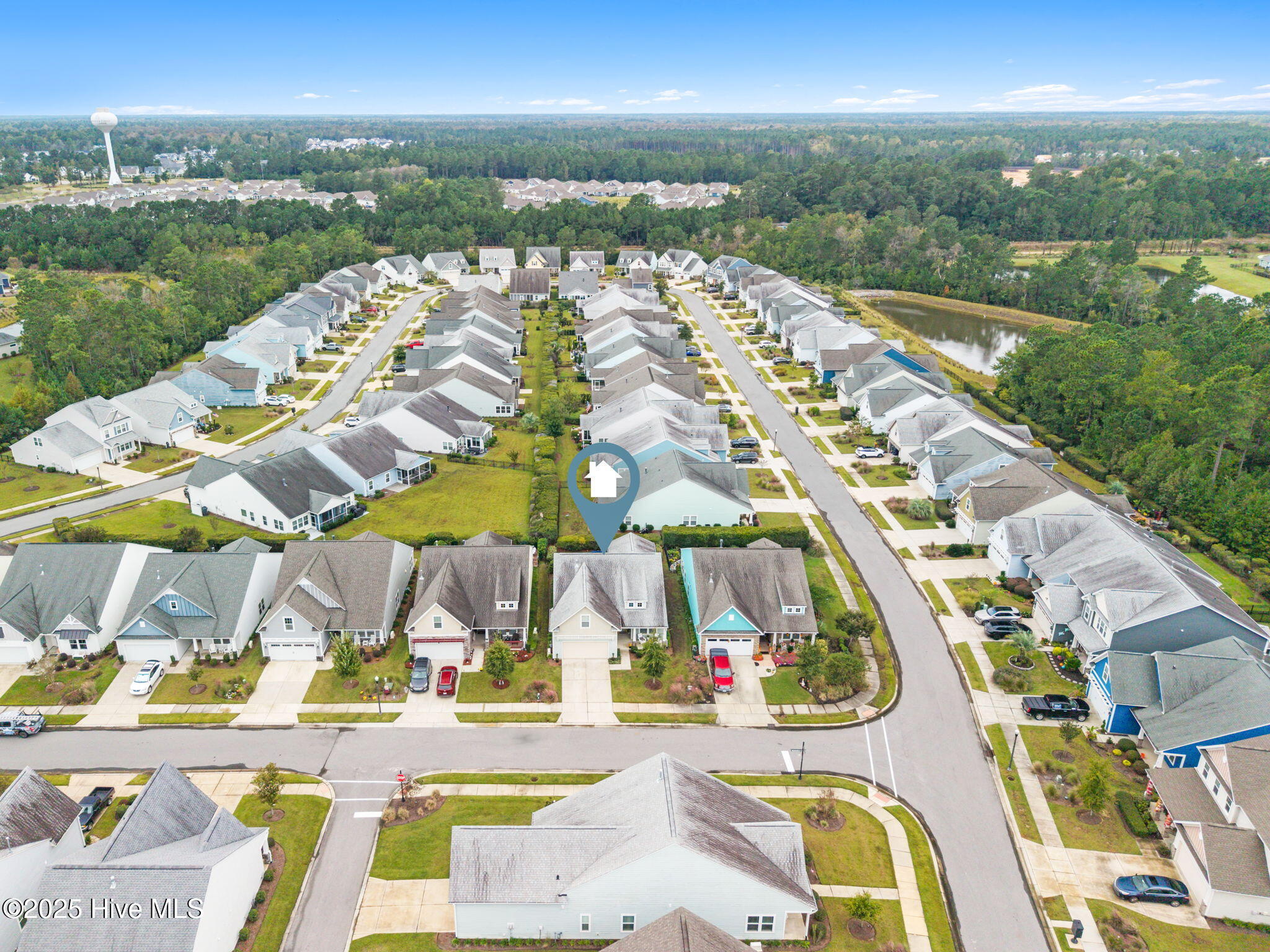 100536168 | Photo 44