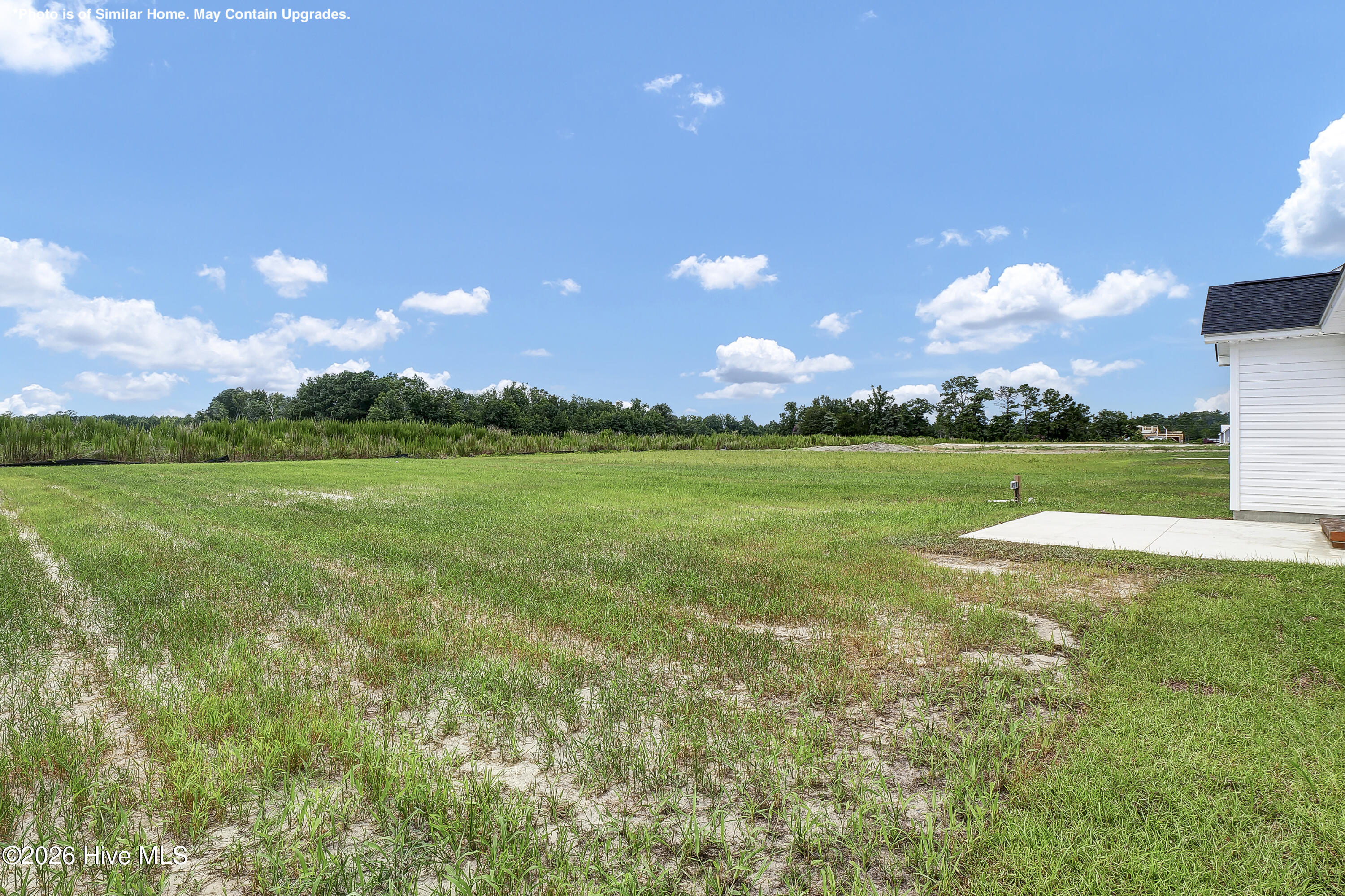 100555342 | Photo 28