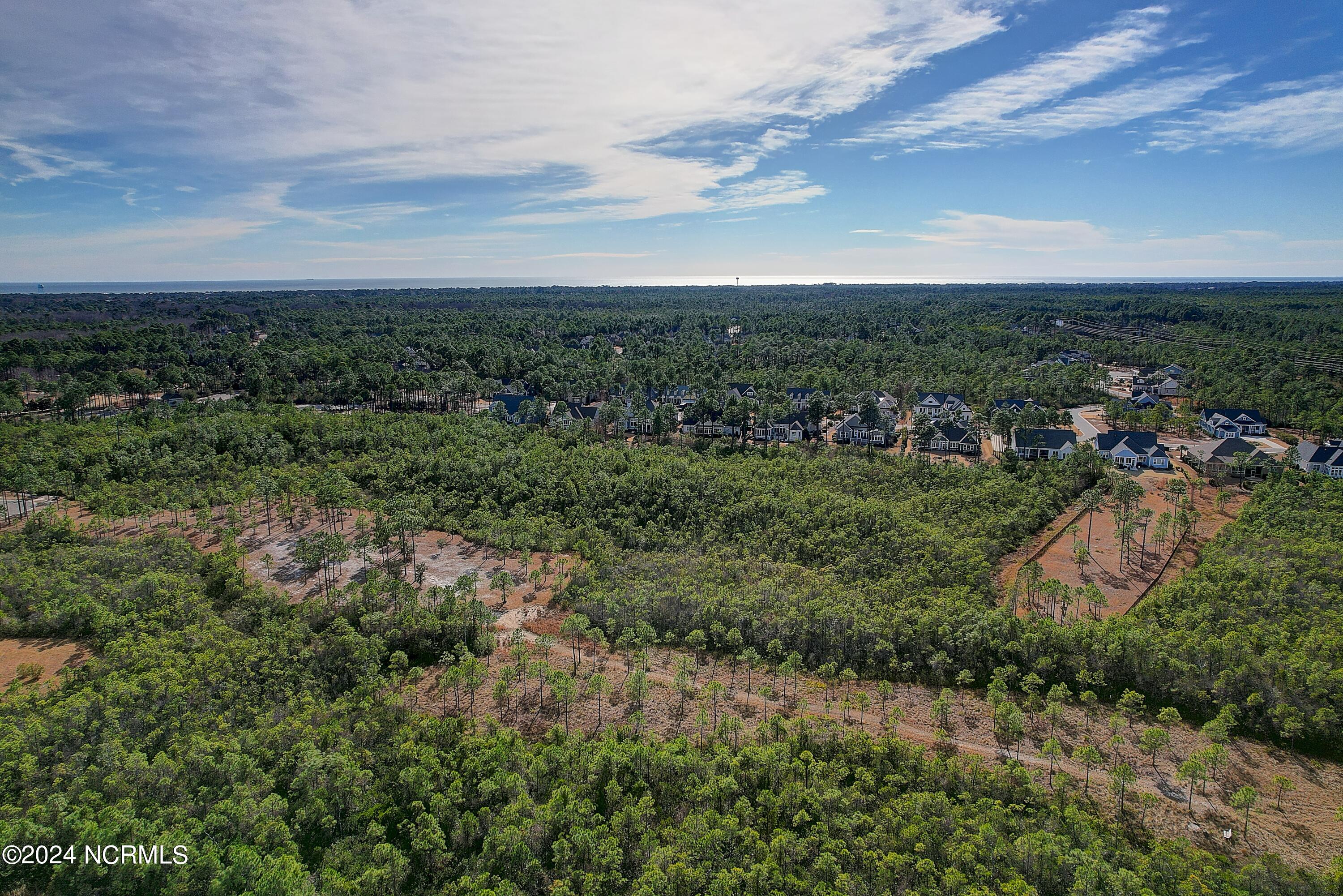 100559108 | Photo 16