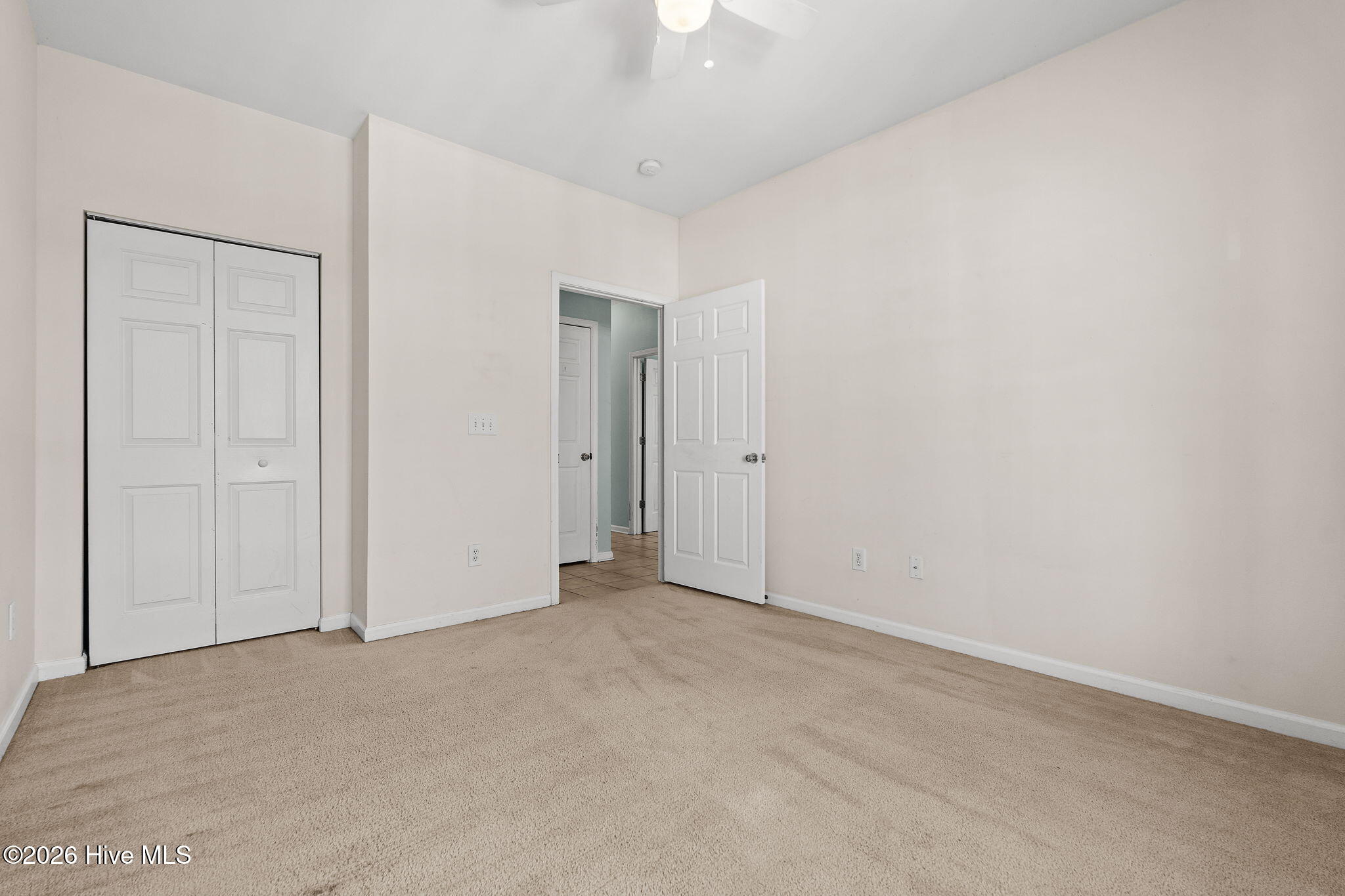 100569221 | Photo 26