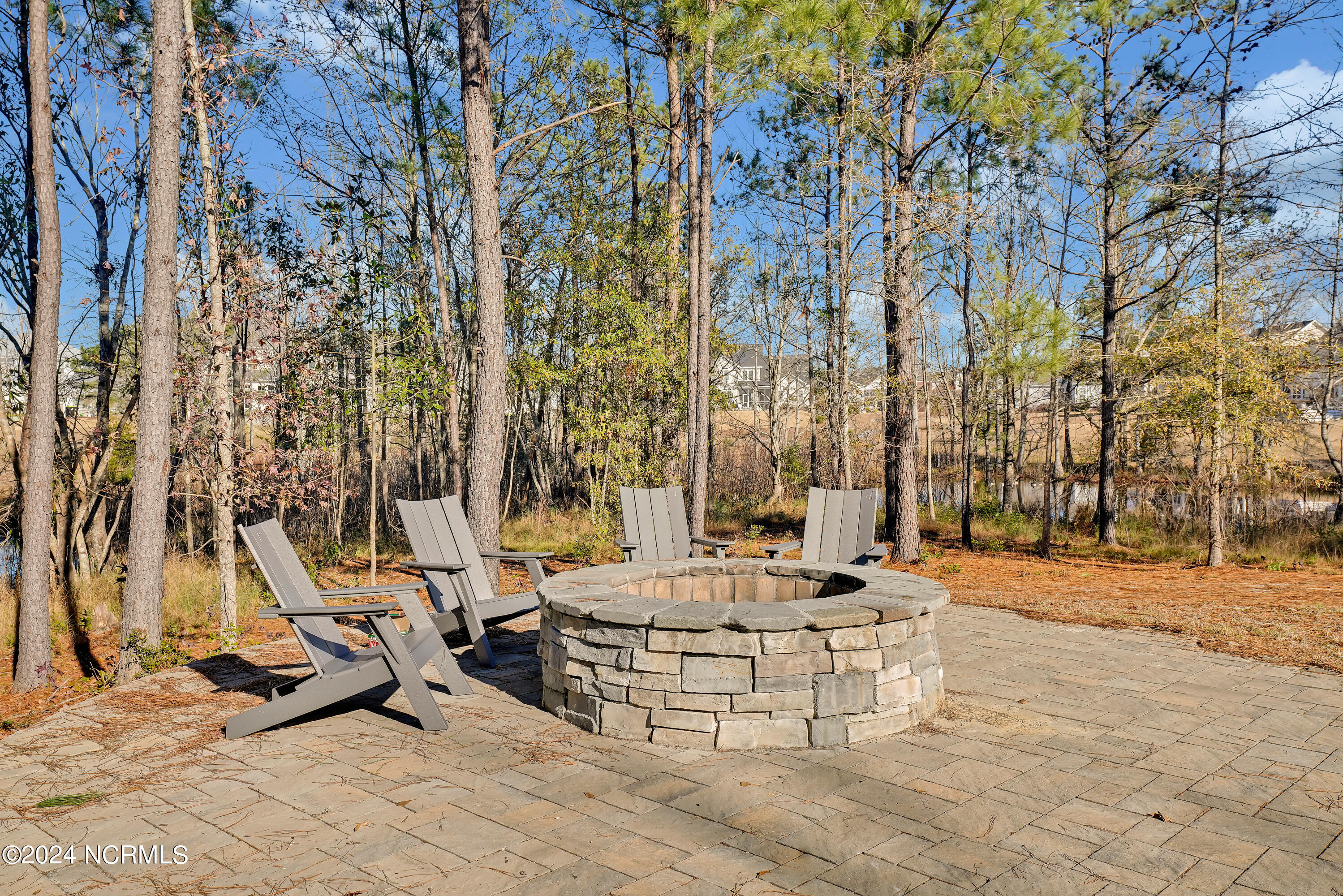 Ibis Island fire pit