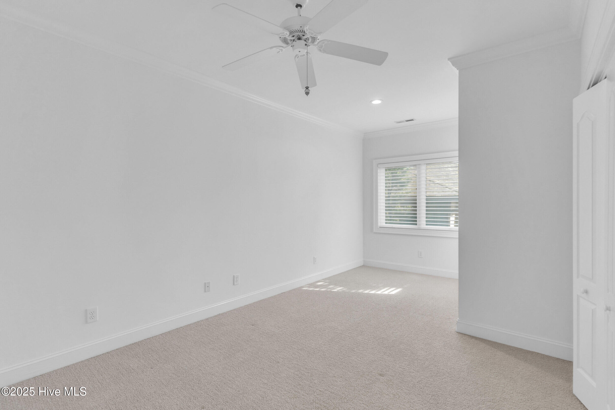 100505592 | Photo 34