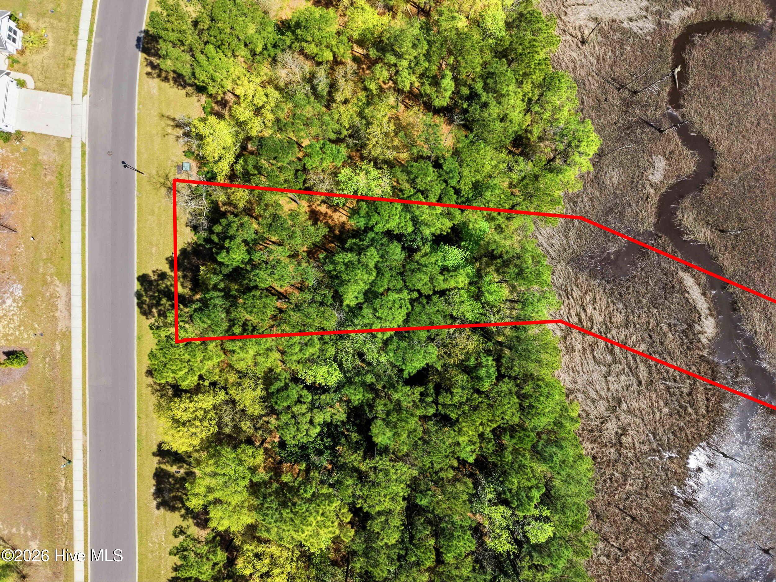 100562614 | Photo 14