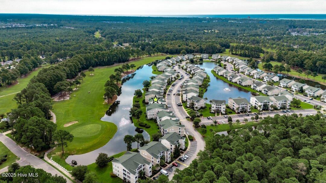 100528318 | Photo 33