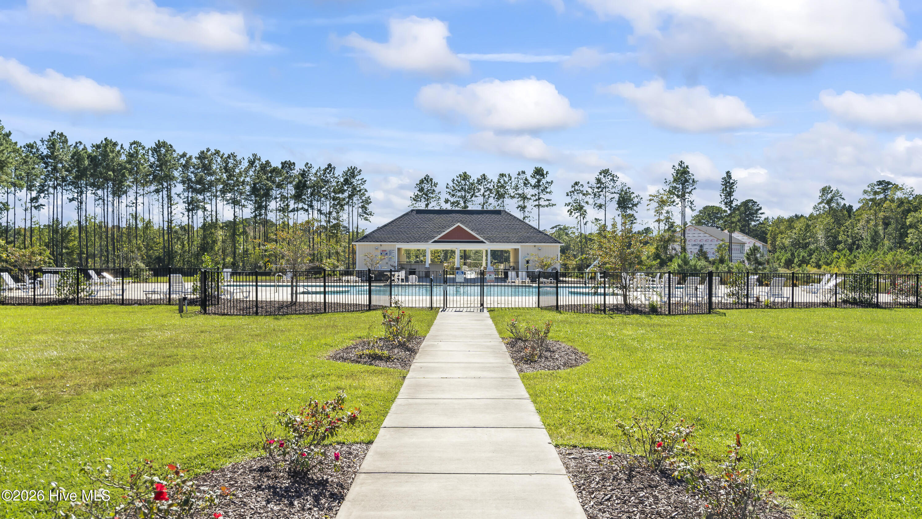 100563871 | Photo 29