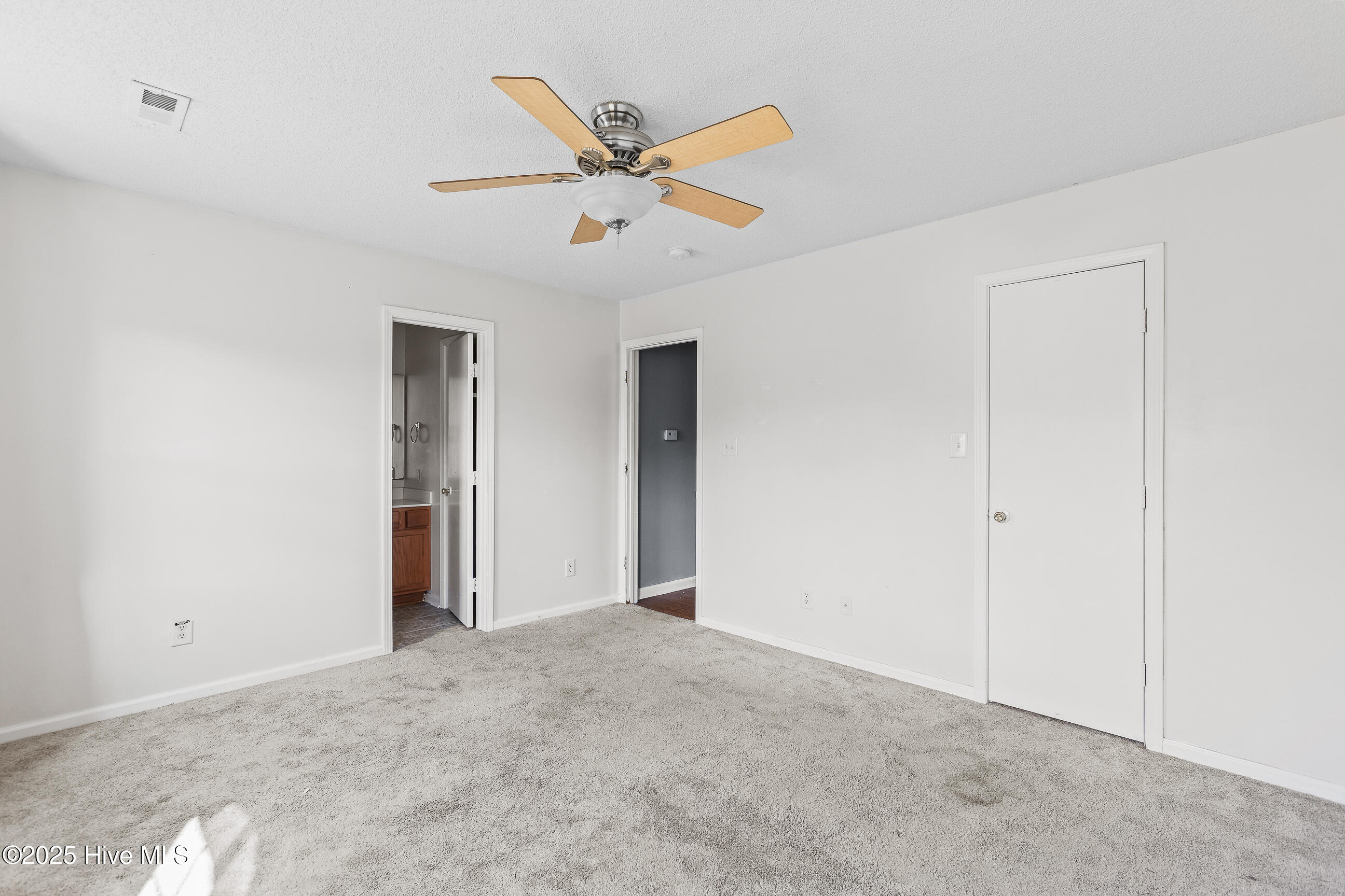 100535056 | Photo 12