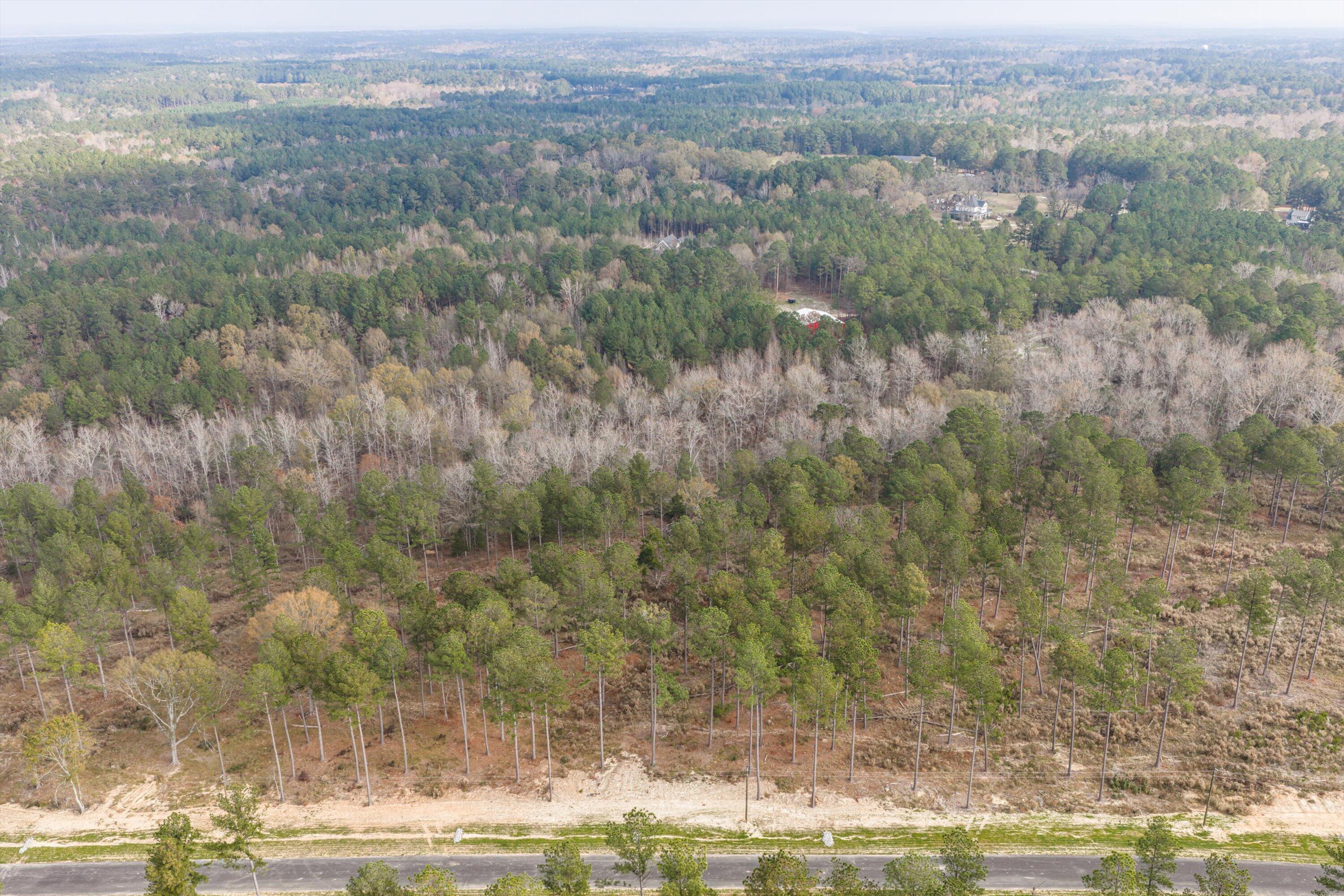 159 Beagle Chase Drive, Appling, GA, 30802