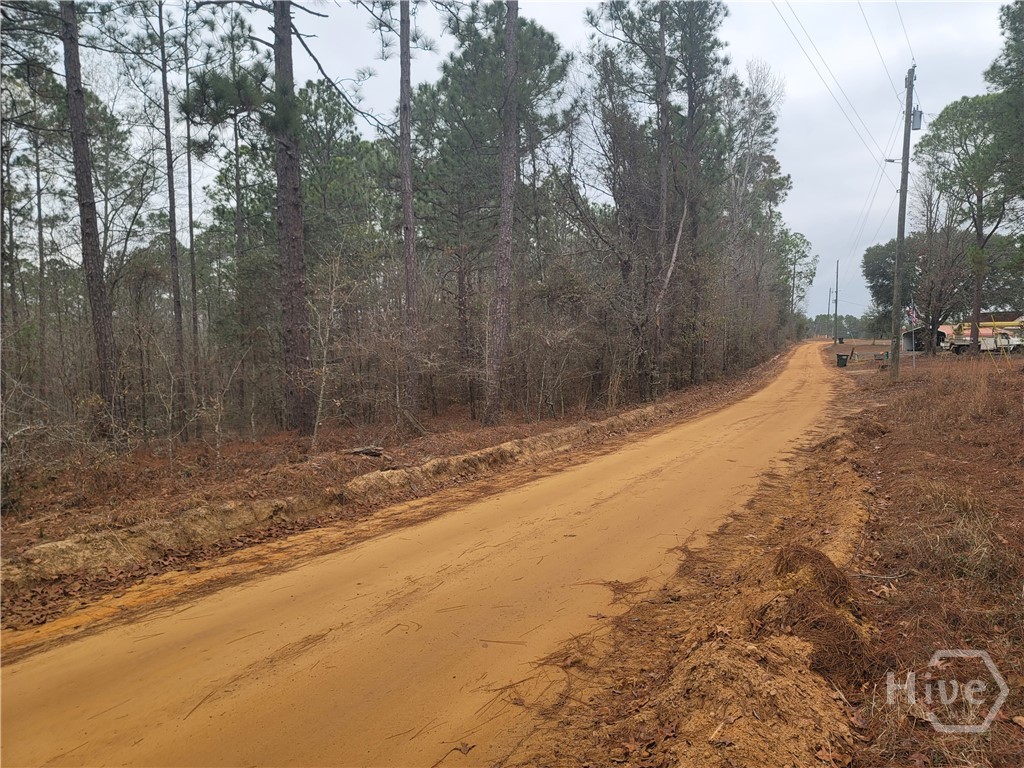 Homes for sale in Collins, GA | 0 Jim Cannon, Collins, GA 30421 | MLS# SA346455