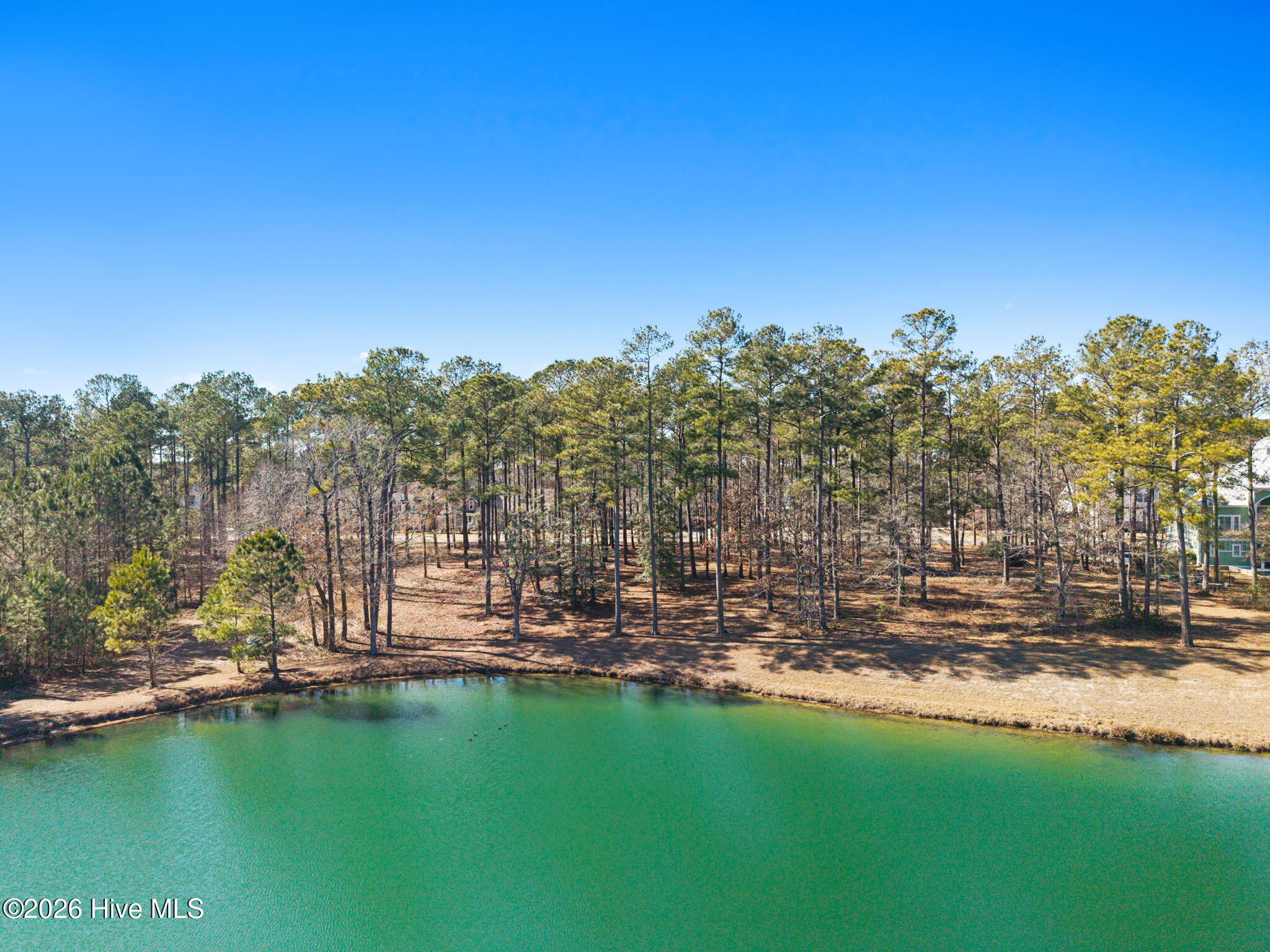 100554844 | Photo 11