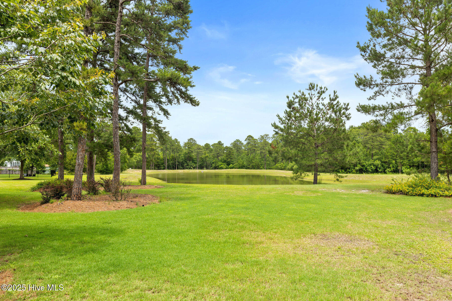 100515145 | Photo 19