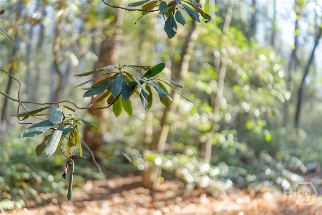 Shoal Creek Tract Habersham County