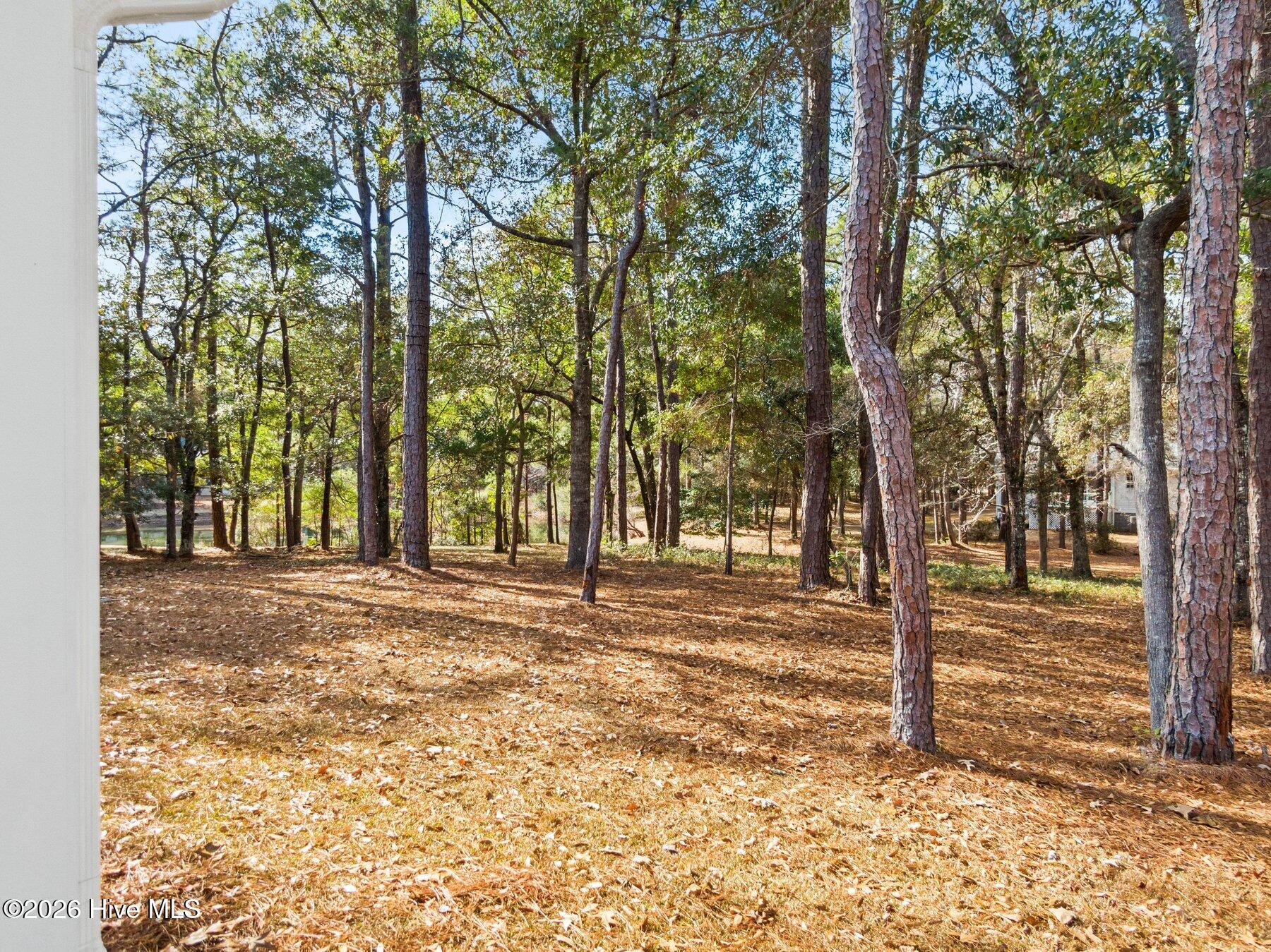 100554265 | Photo 35