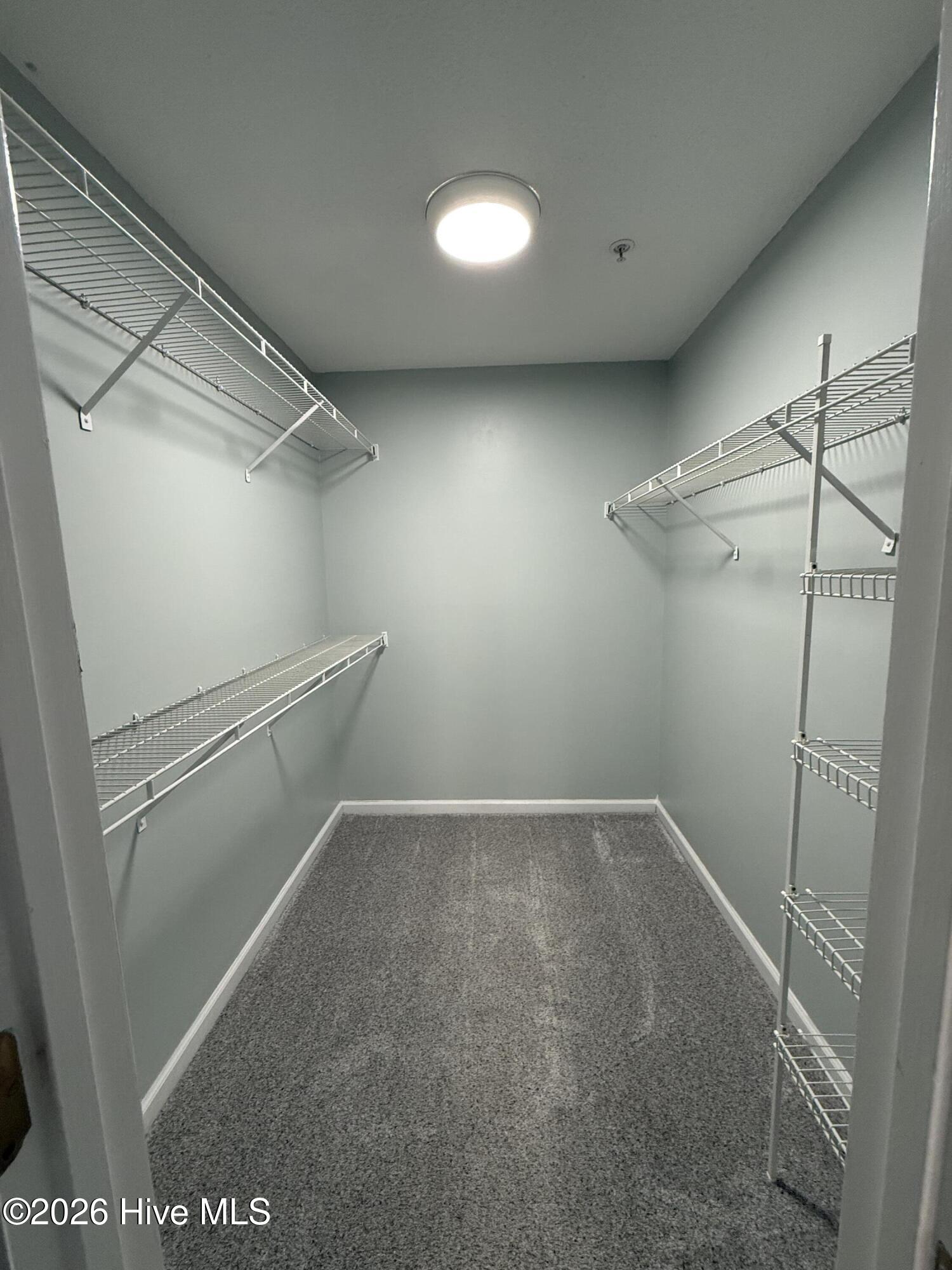 100556738 | Photo 18