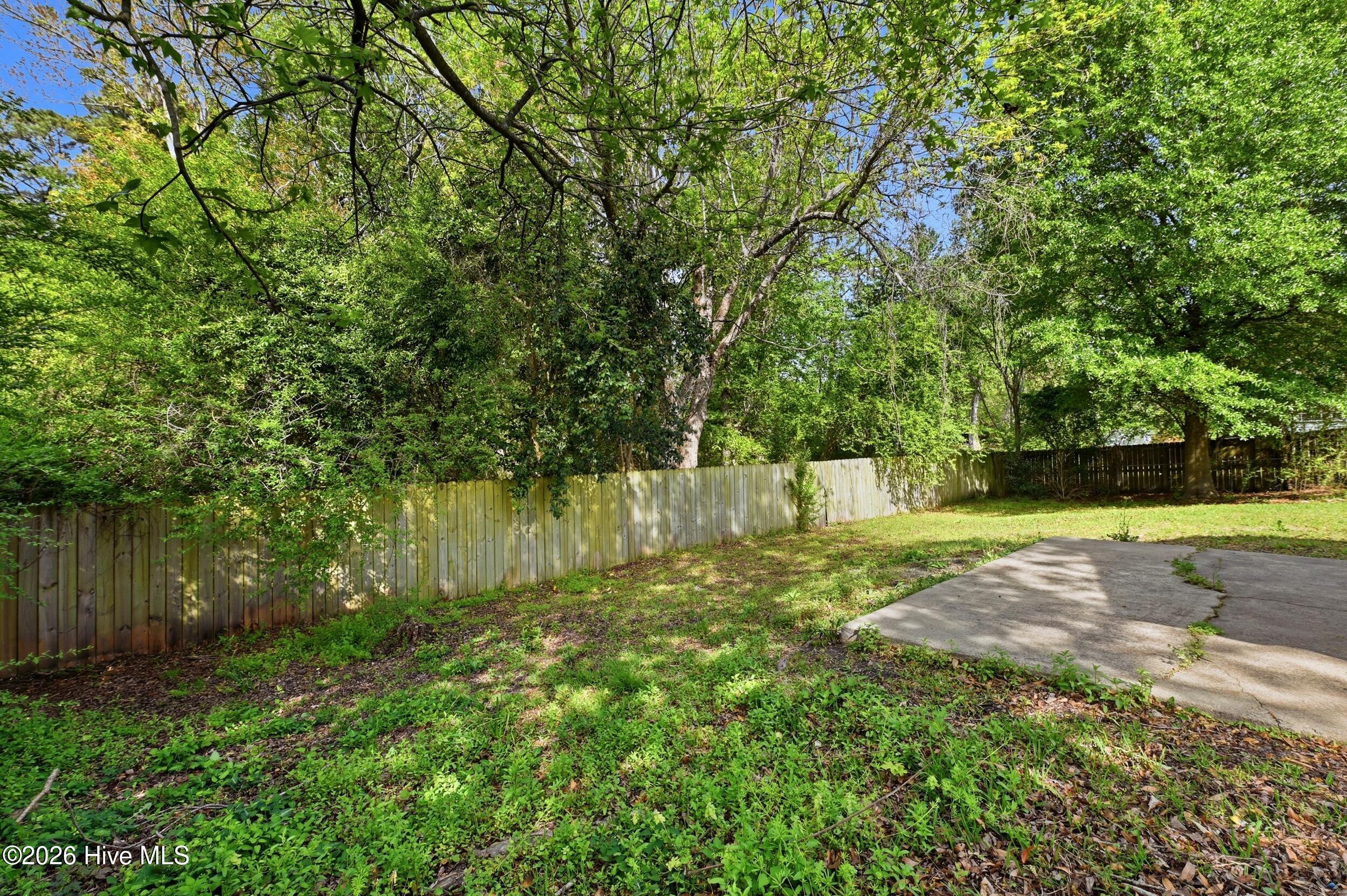 100566125 | Photo 36