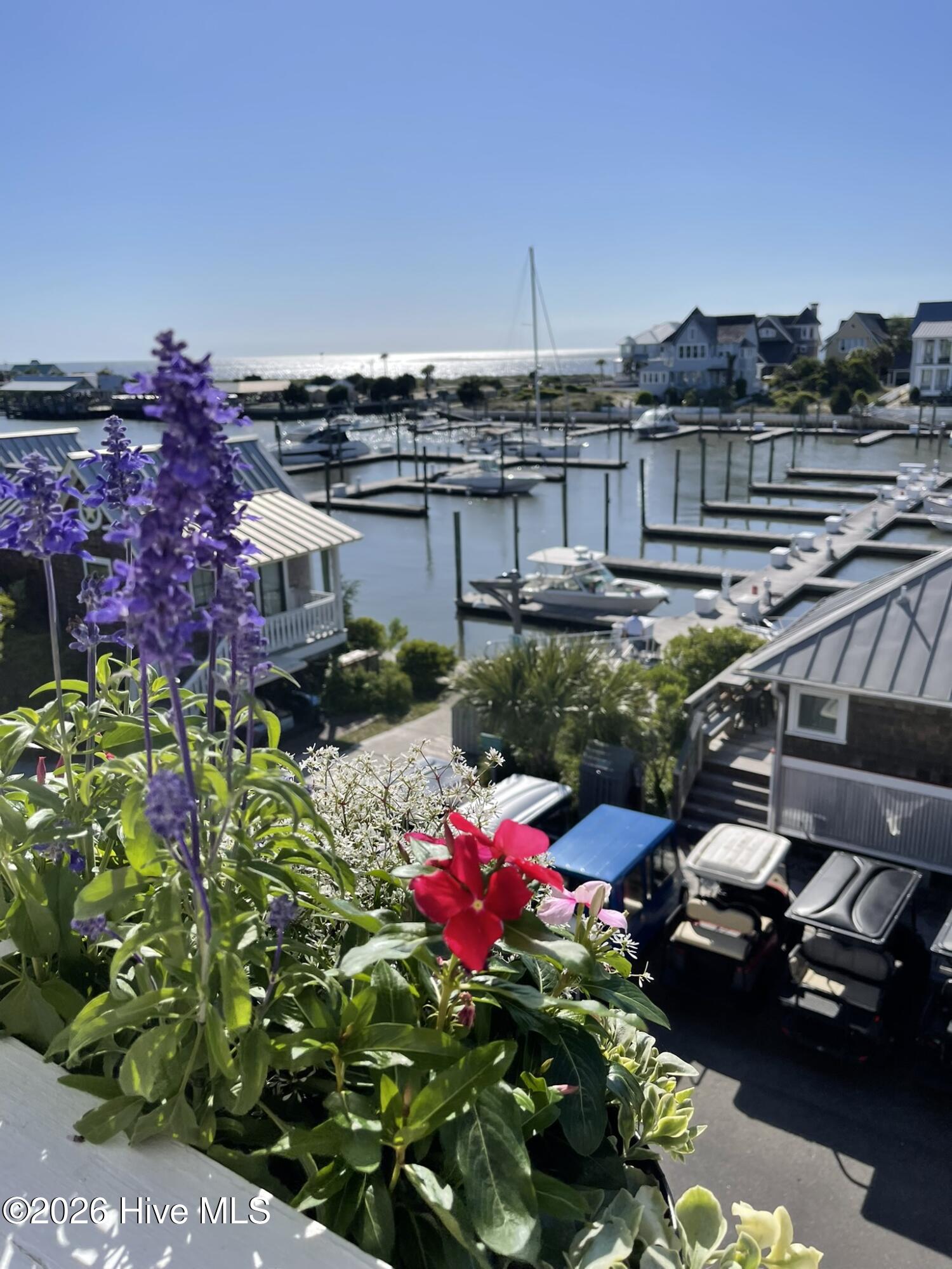 100559569 | Photo 50