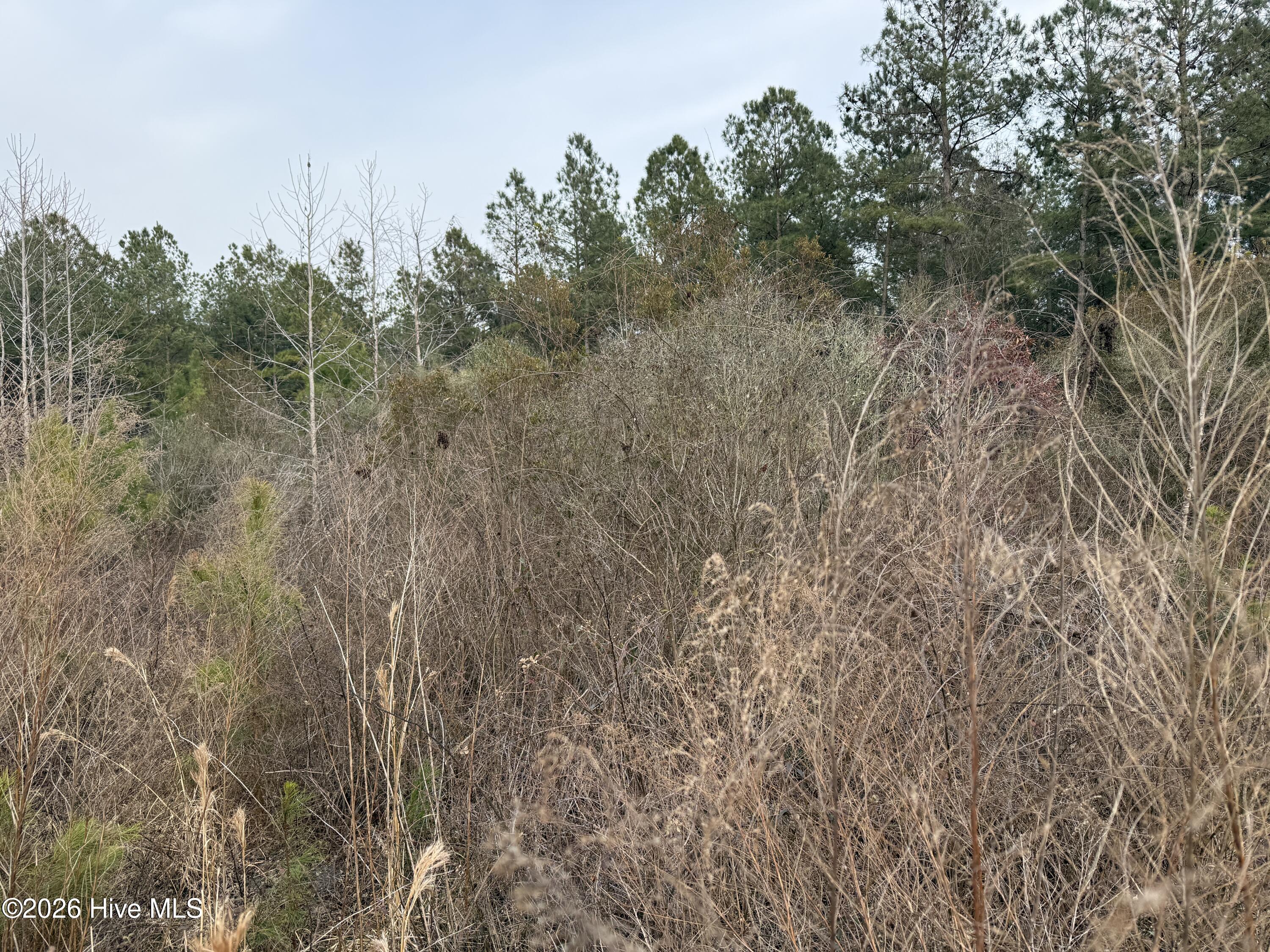 Homes for sale in Aurora, NC | 0 Tuten Rd, Aurora, NC 27806 | MLS# 100556942