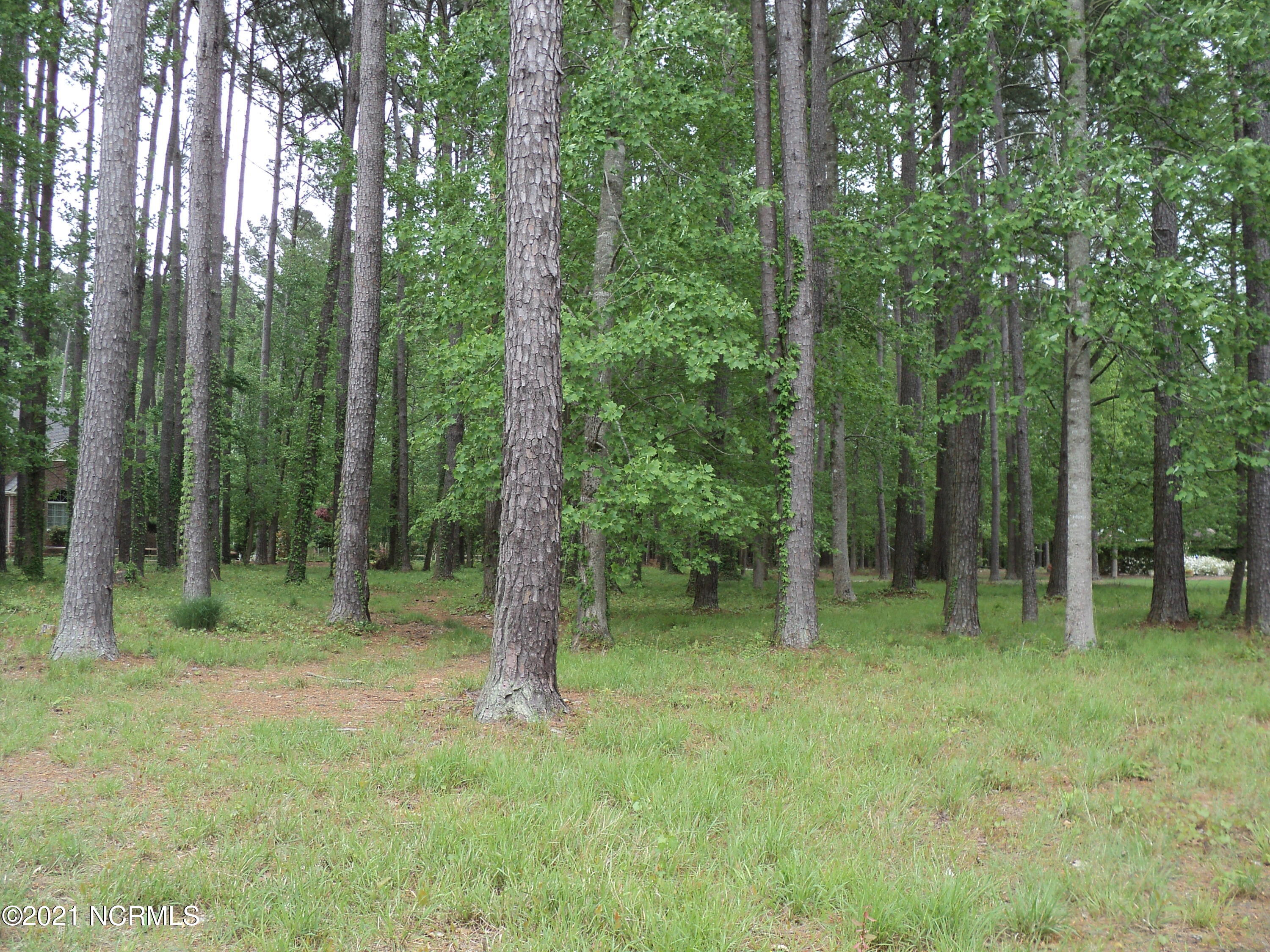 Lot 53 W Fairway Drive, Washington, NC, 27889