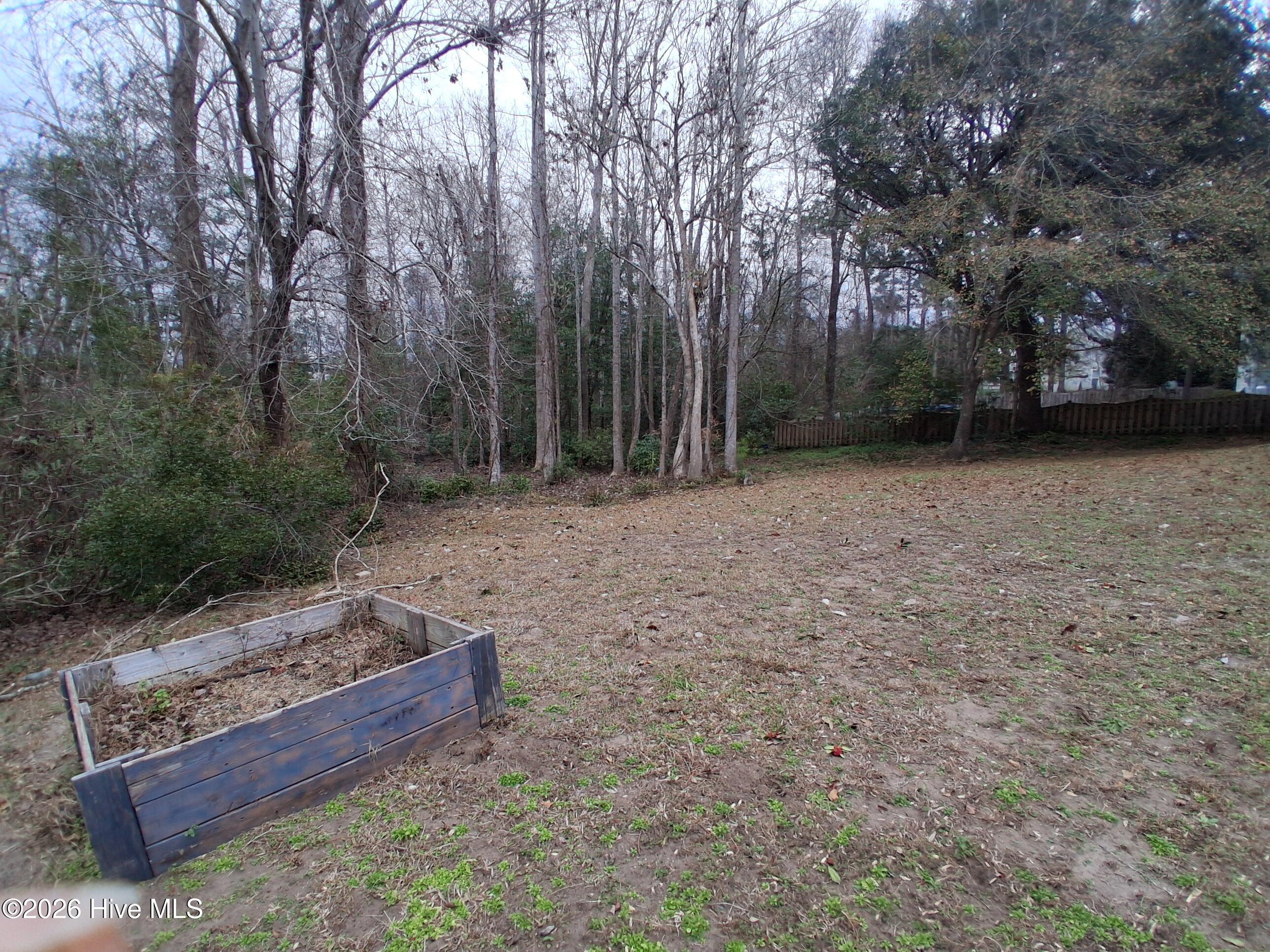 100504331 | Photo 48