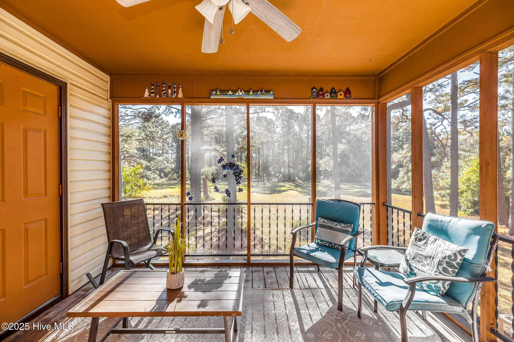 100541732 | Photo 29