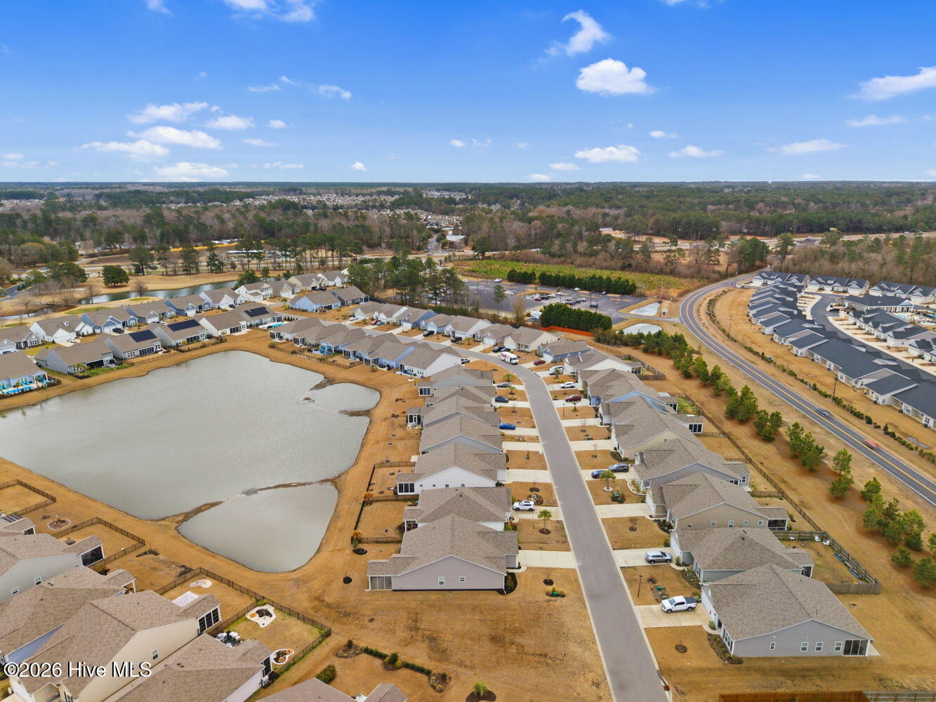 100555393 | Photo 43