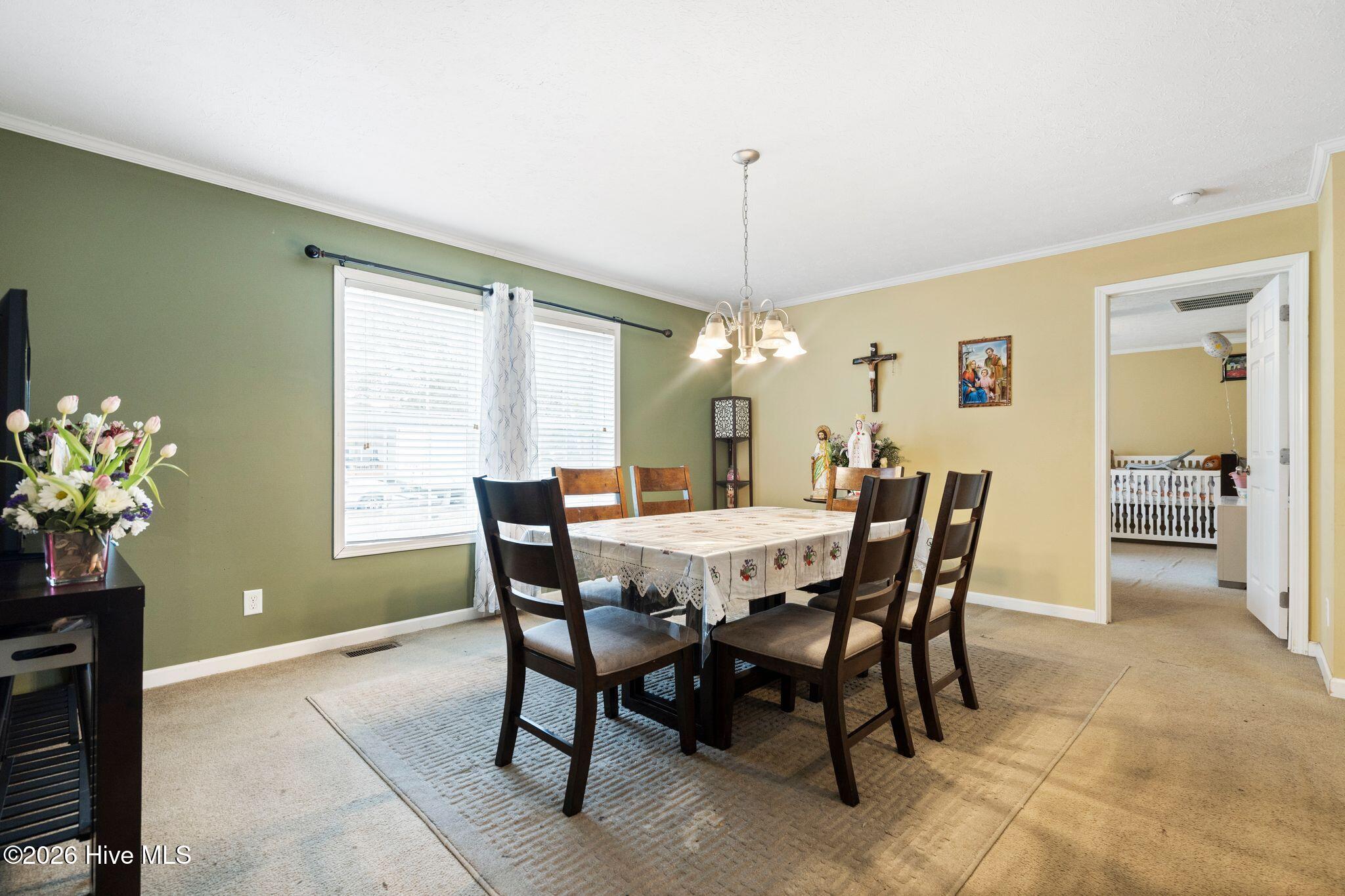 100558385 | Photo 13