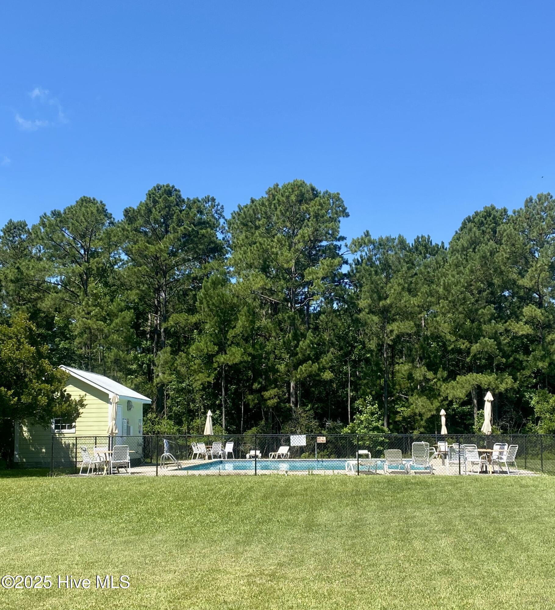 100516022 | Photo 81