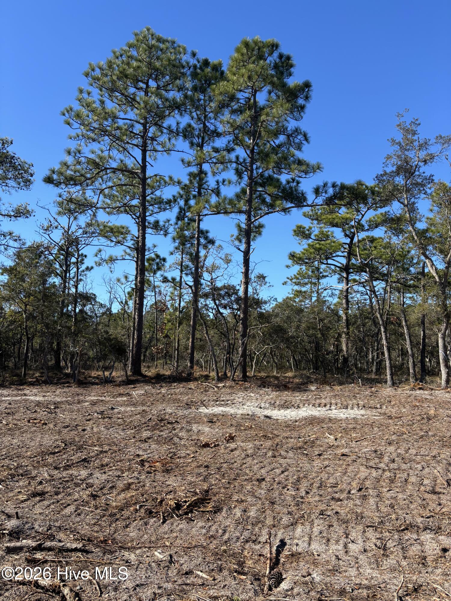 Carolina Barrier Islands