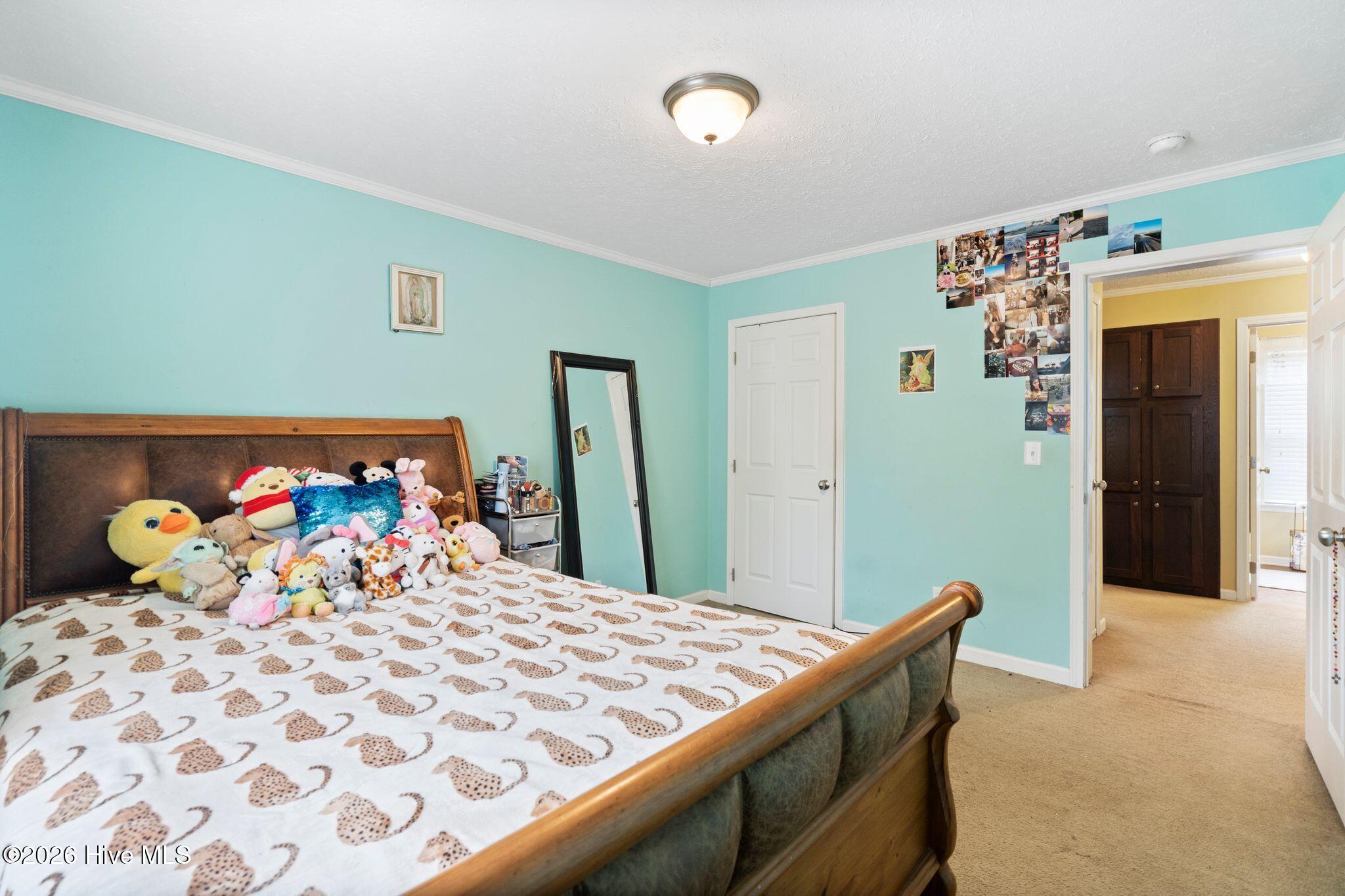 100558385 | Photo 34