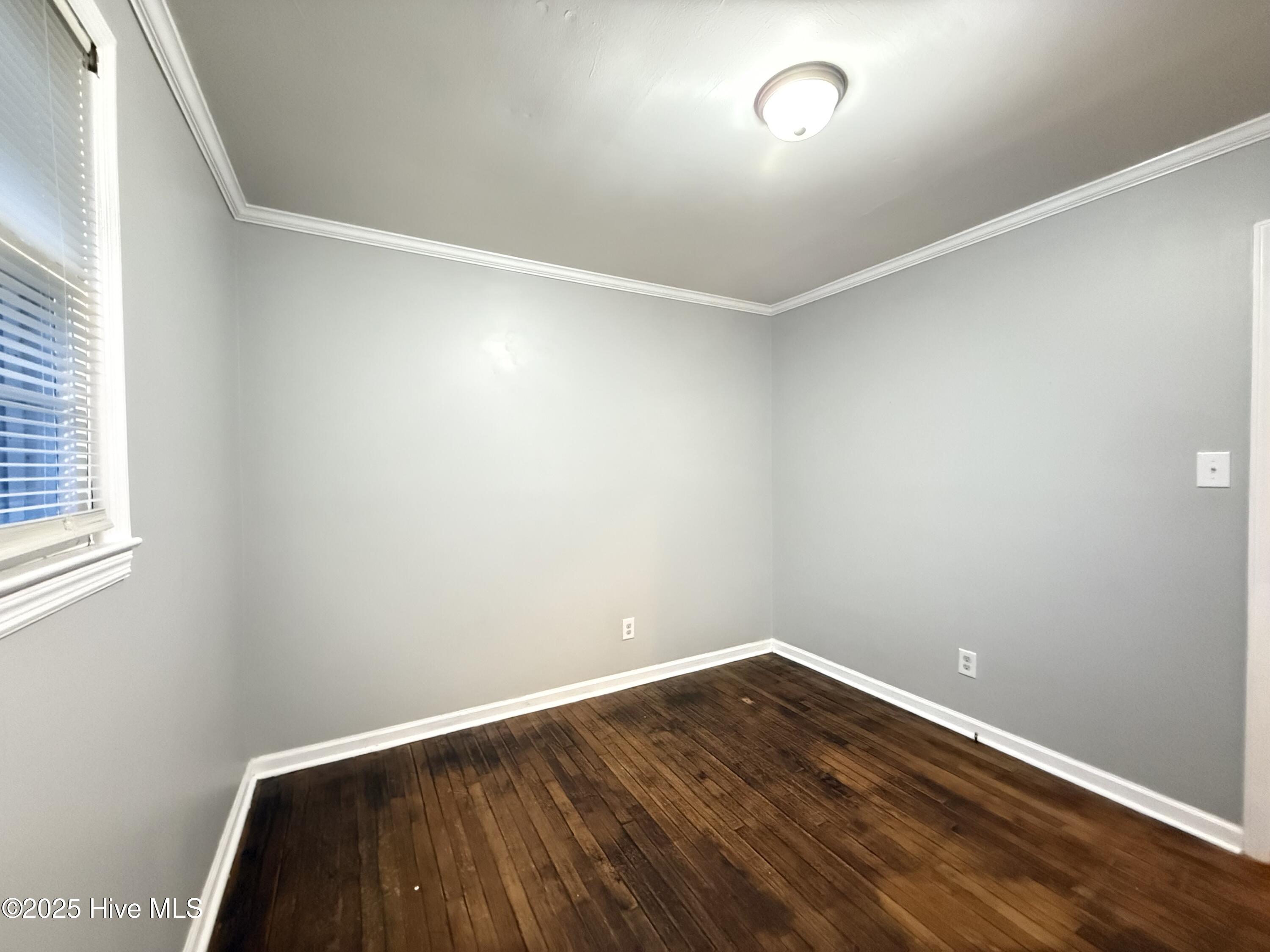 100537874 | Photo 18