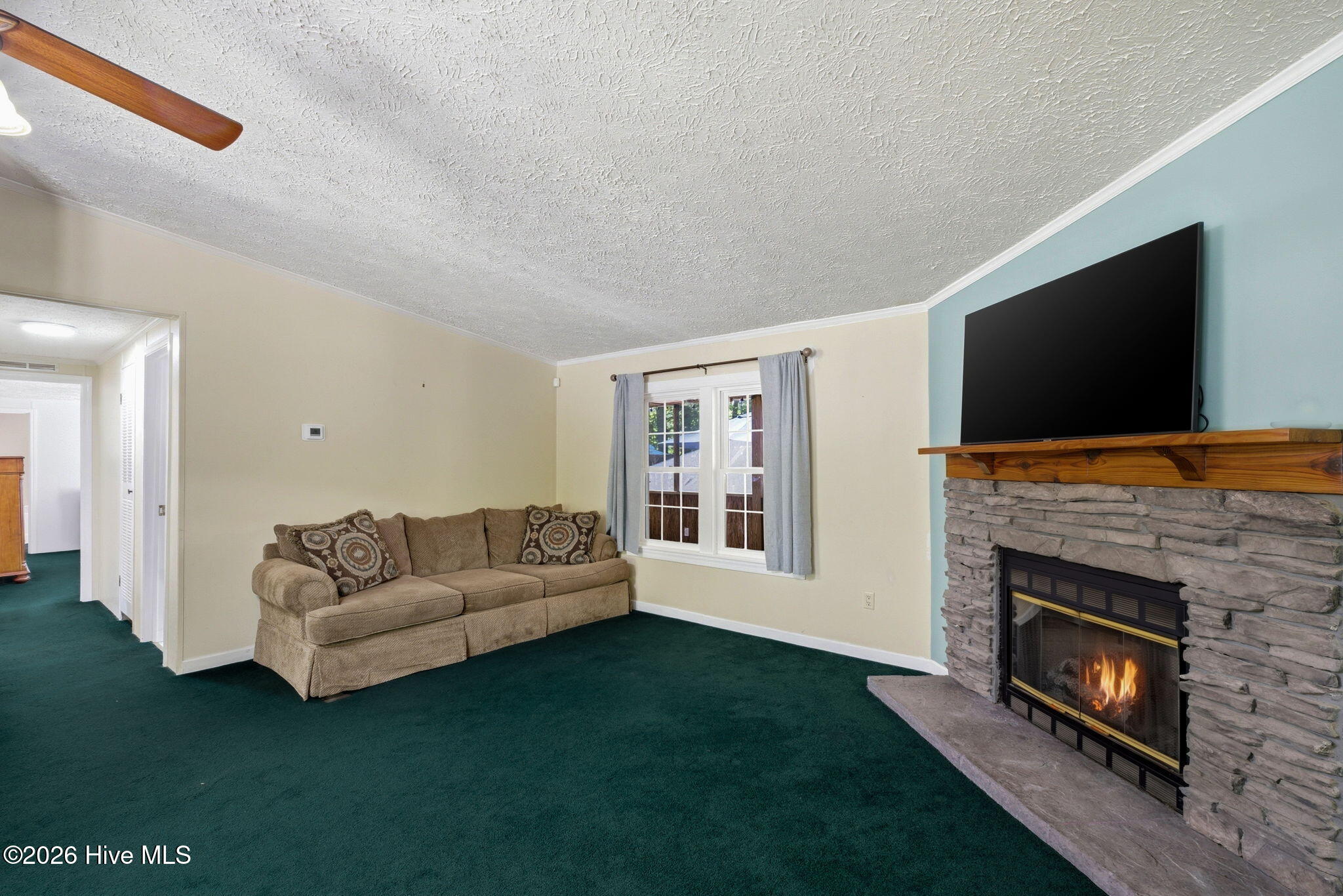 100568157 | Photo 26