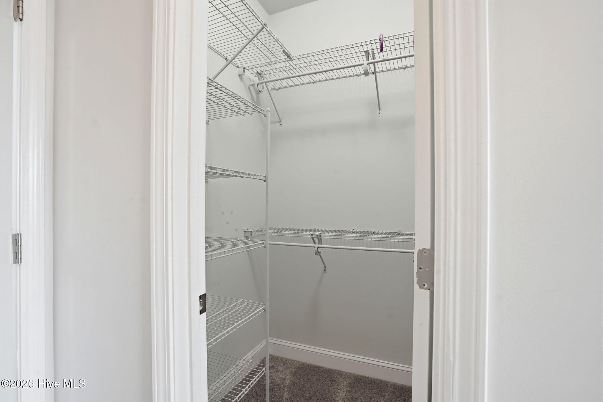 100560462 | Photo 44