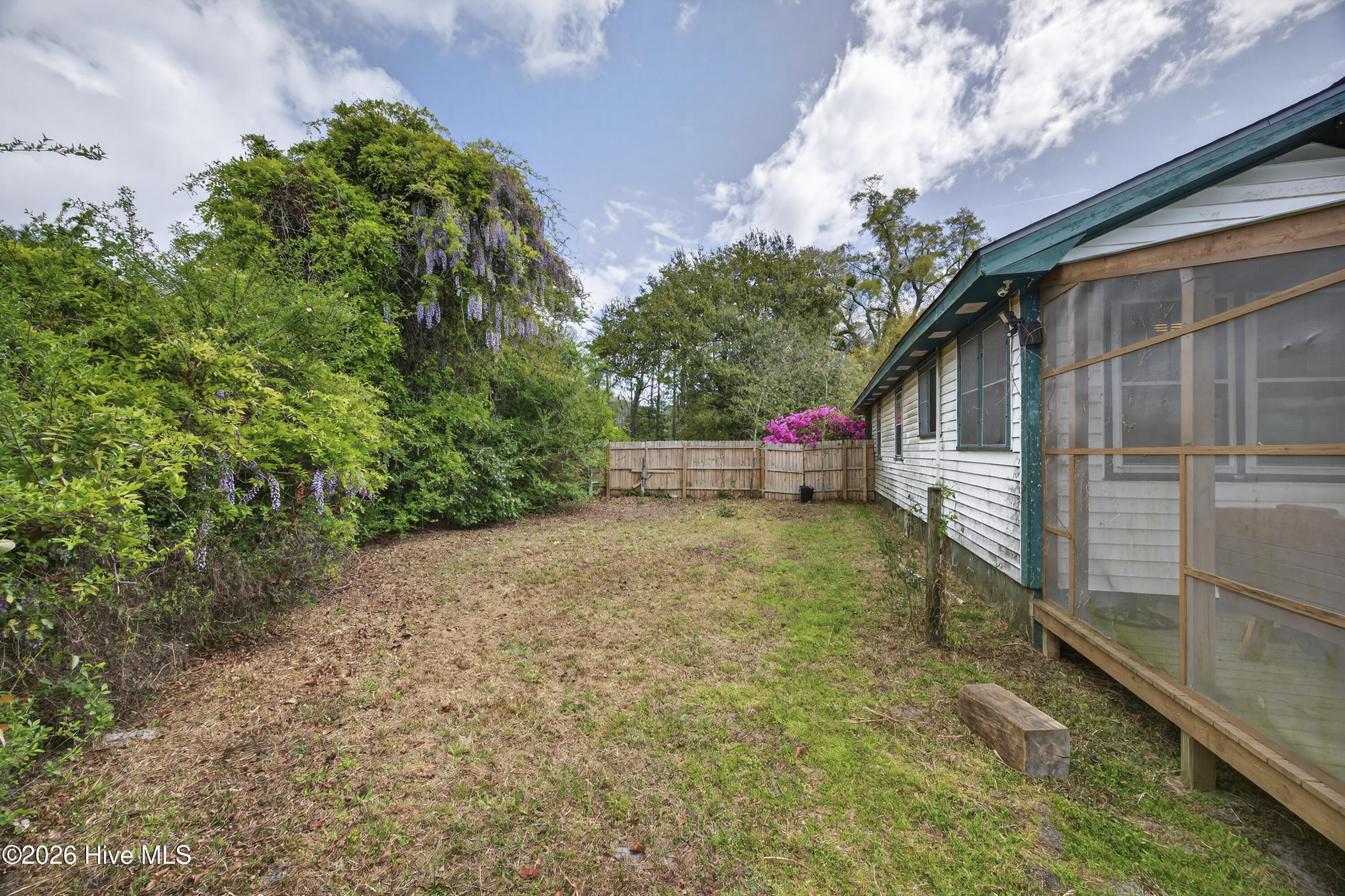 100564526 | Photo 39