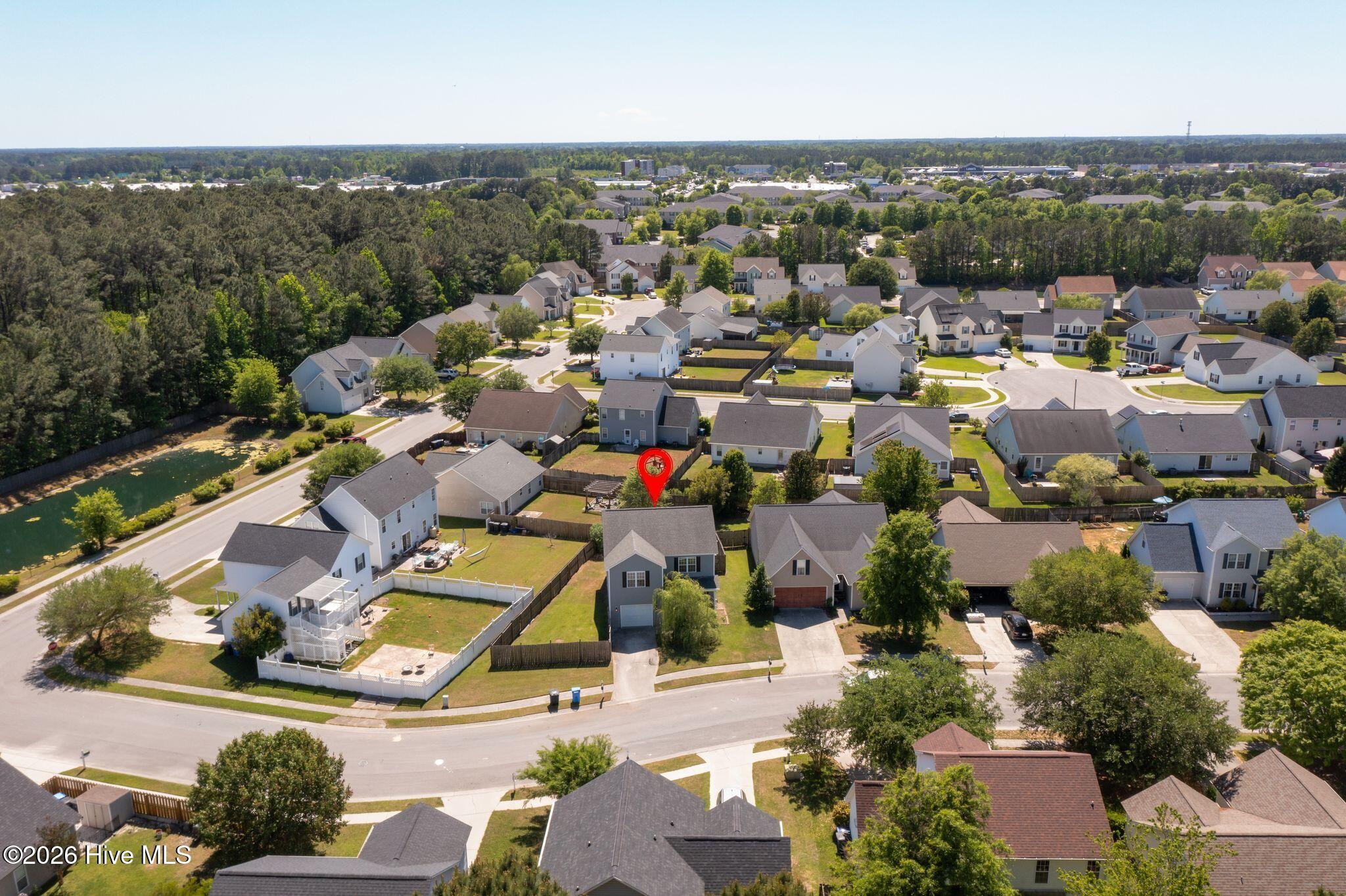 100569961 | Photo 49