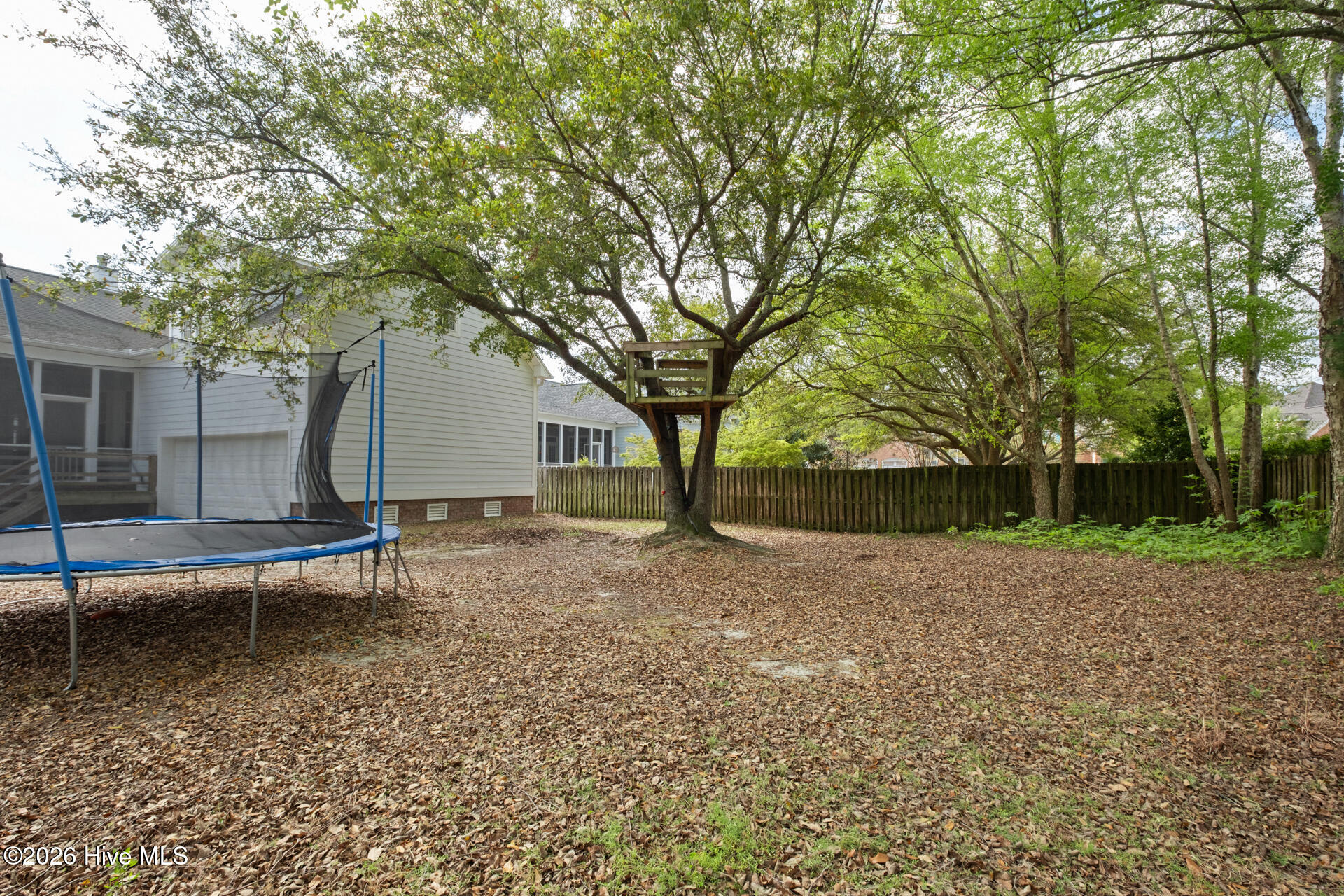 100564524 | Photo 58